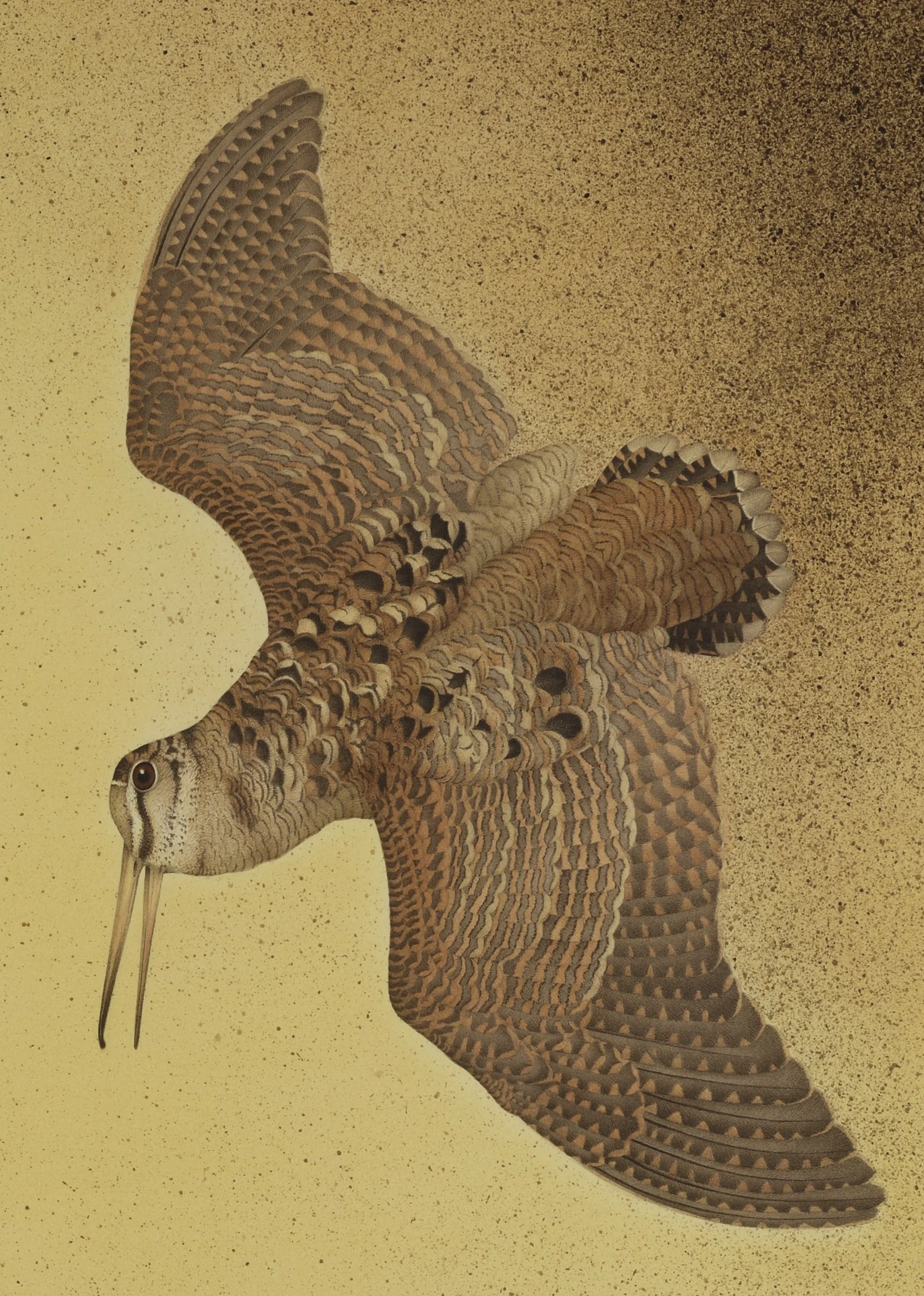WOODCOCK PAIR 2026 (DETAIL) 124cmx104cm (FRAMED SIZE)