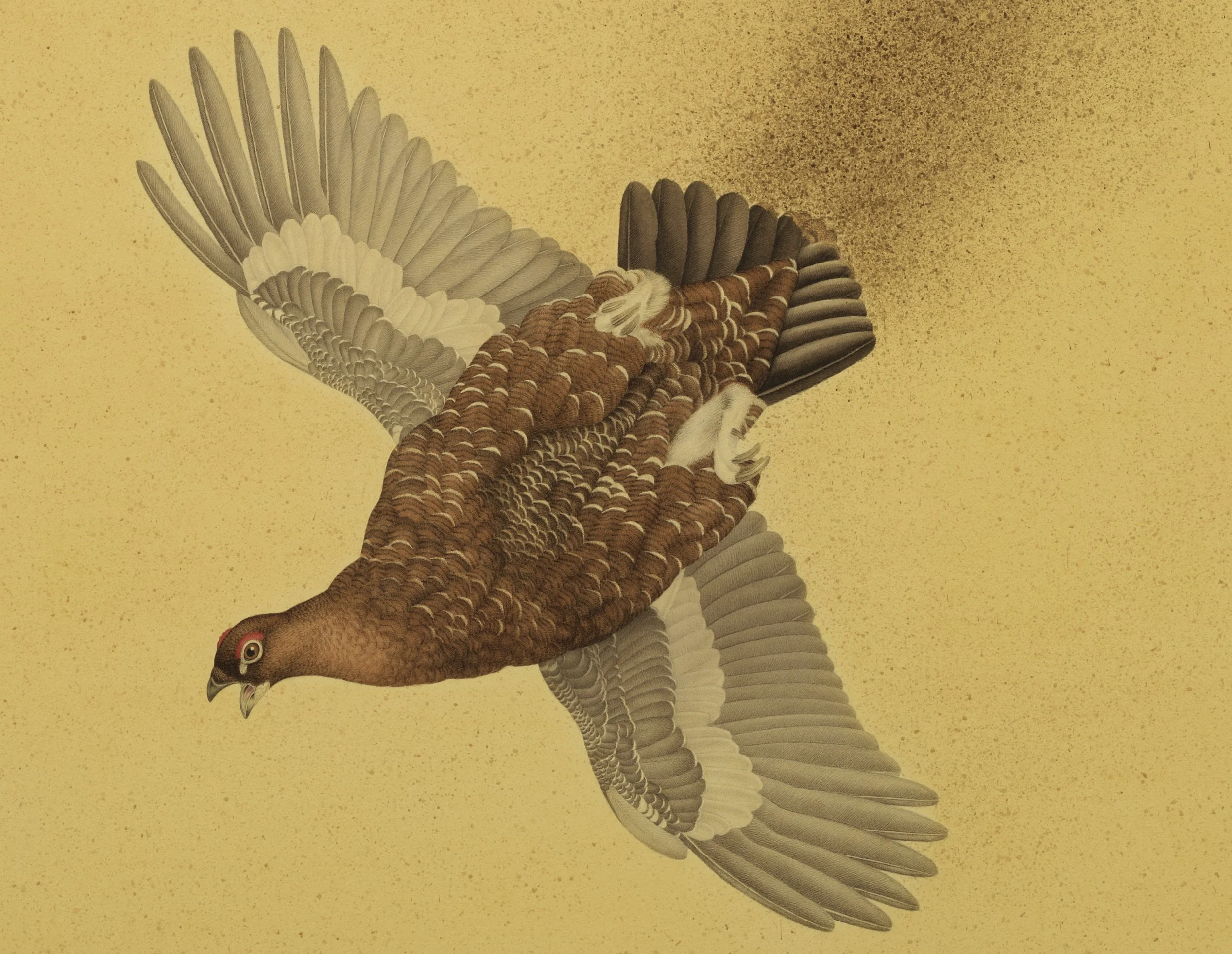 RED GROUSE PAIR 2025 (DETAIL) 120CMx160CM (FRAMED SIZE)