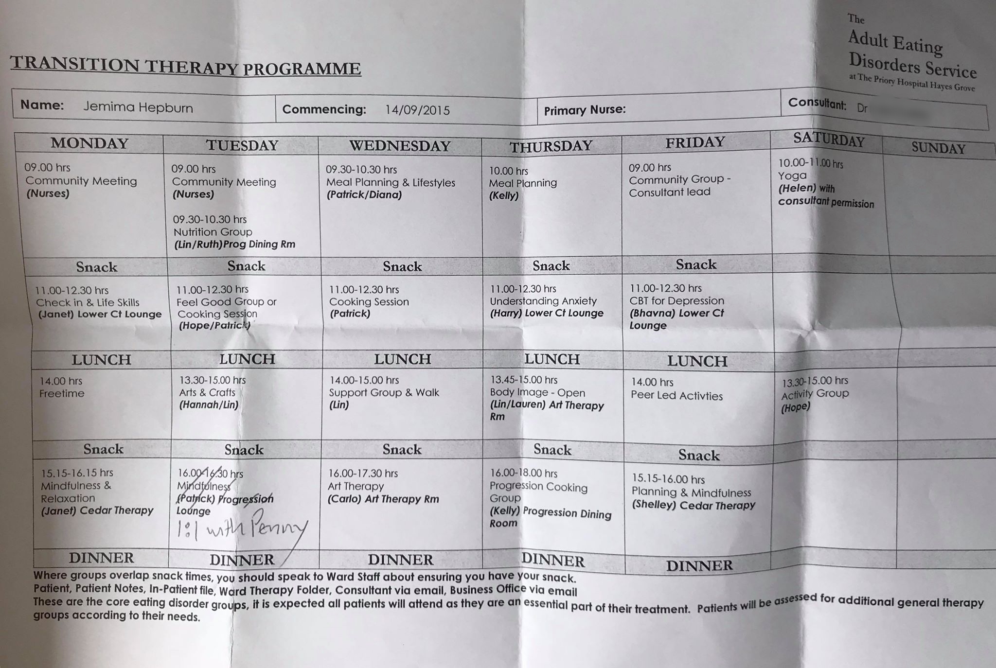 The supposed therapy programme