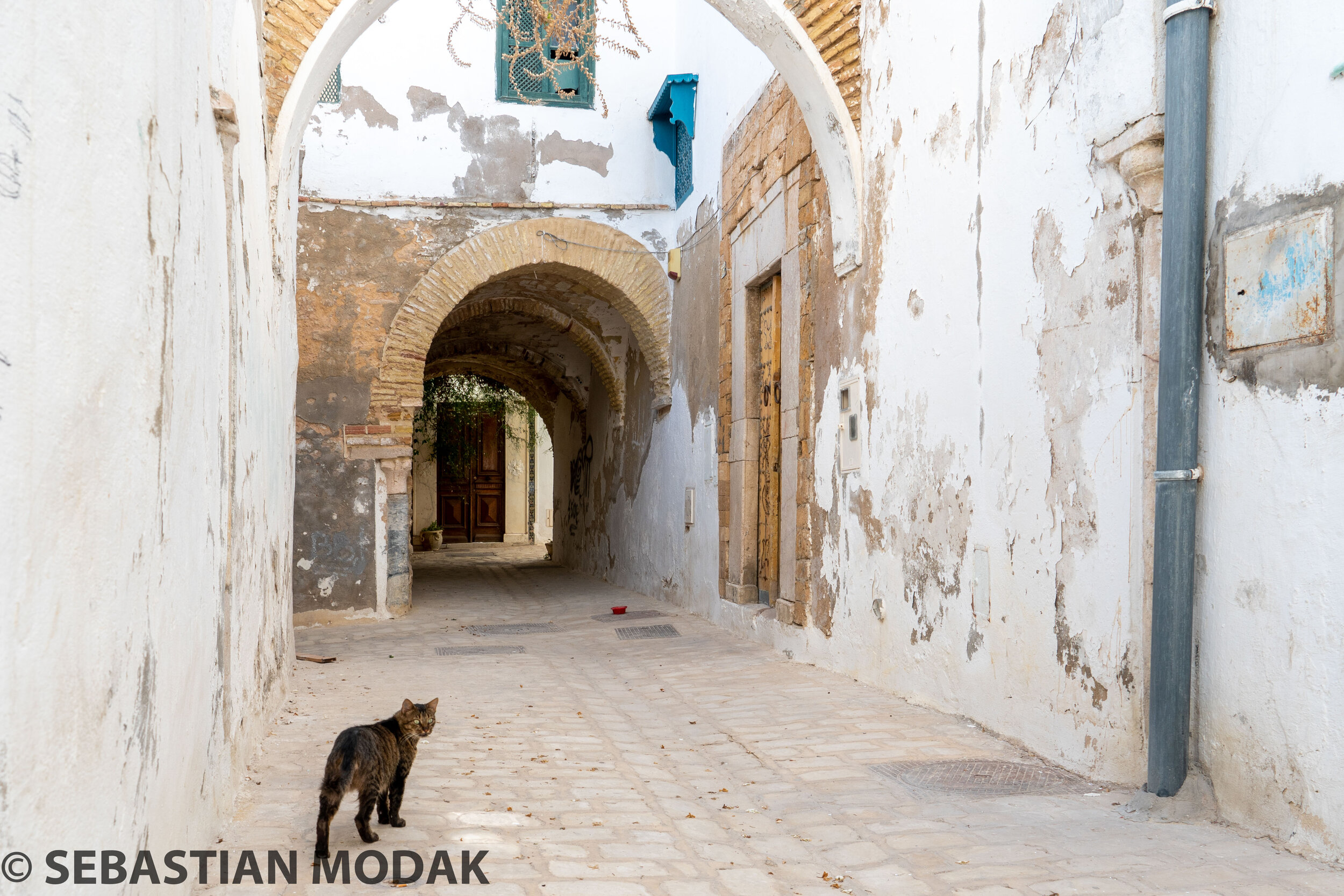  Tunis, Tunisia 