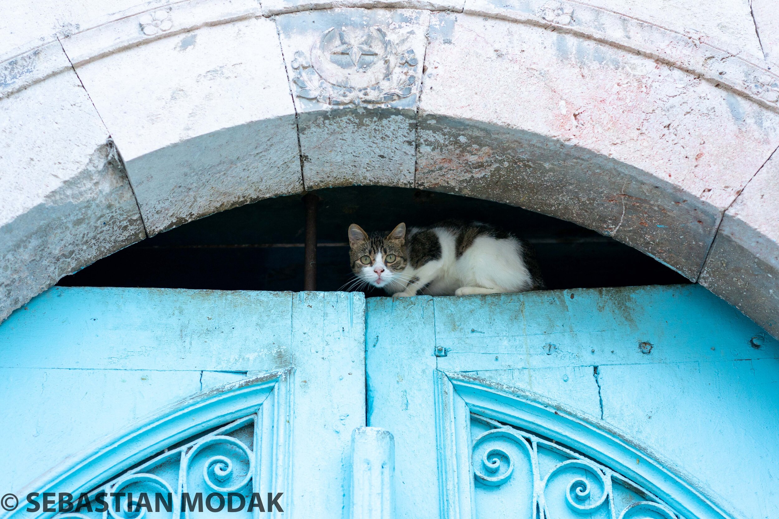  Tunis, Tunisia 