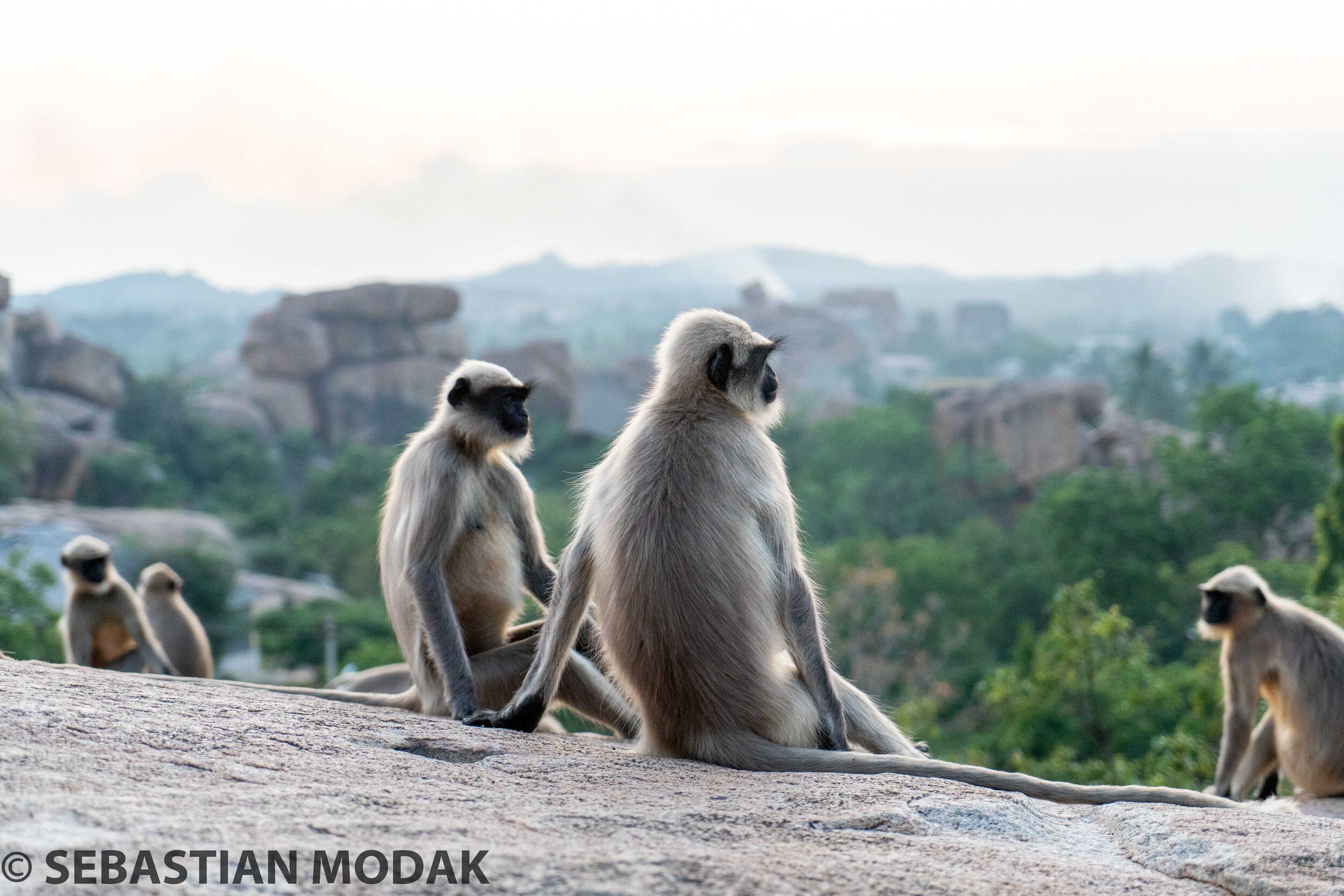  Hampi, India 