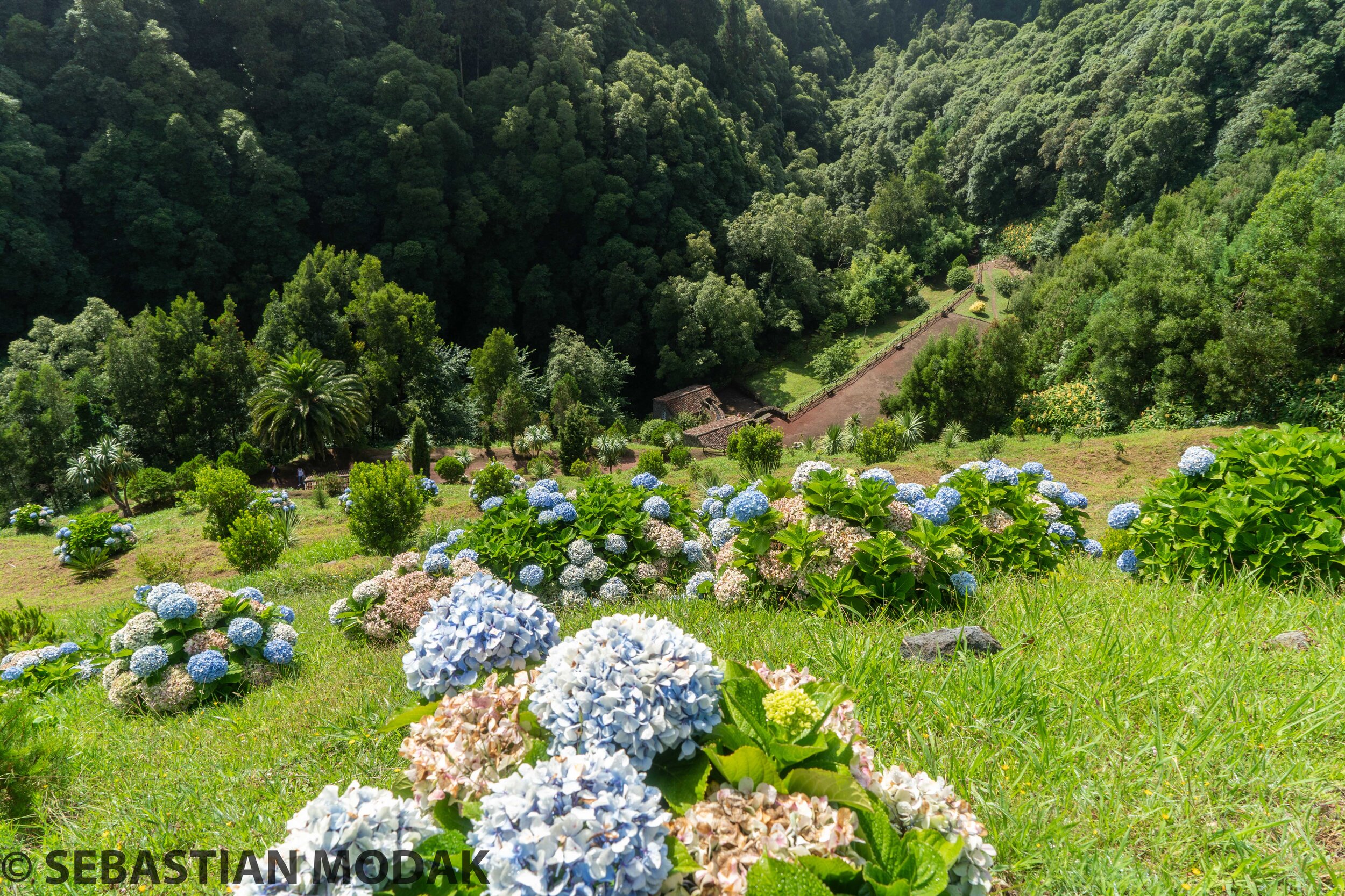  São Miguel, Azores, Portugal 