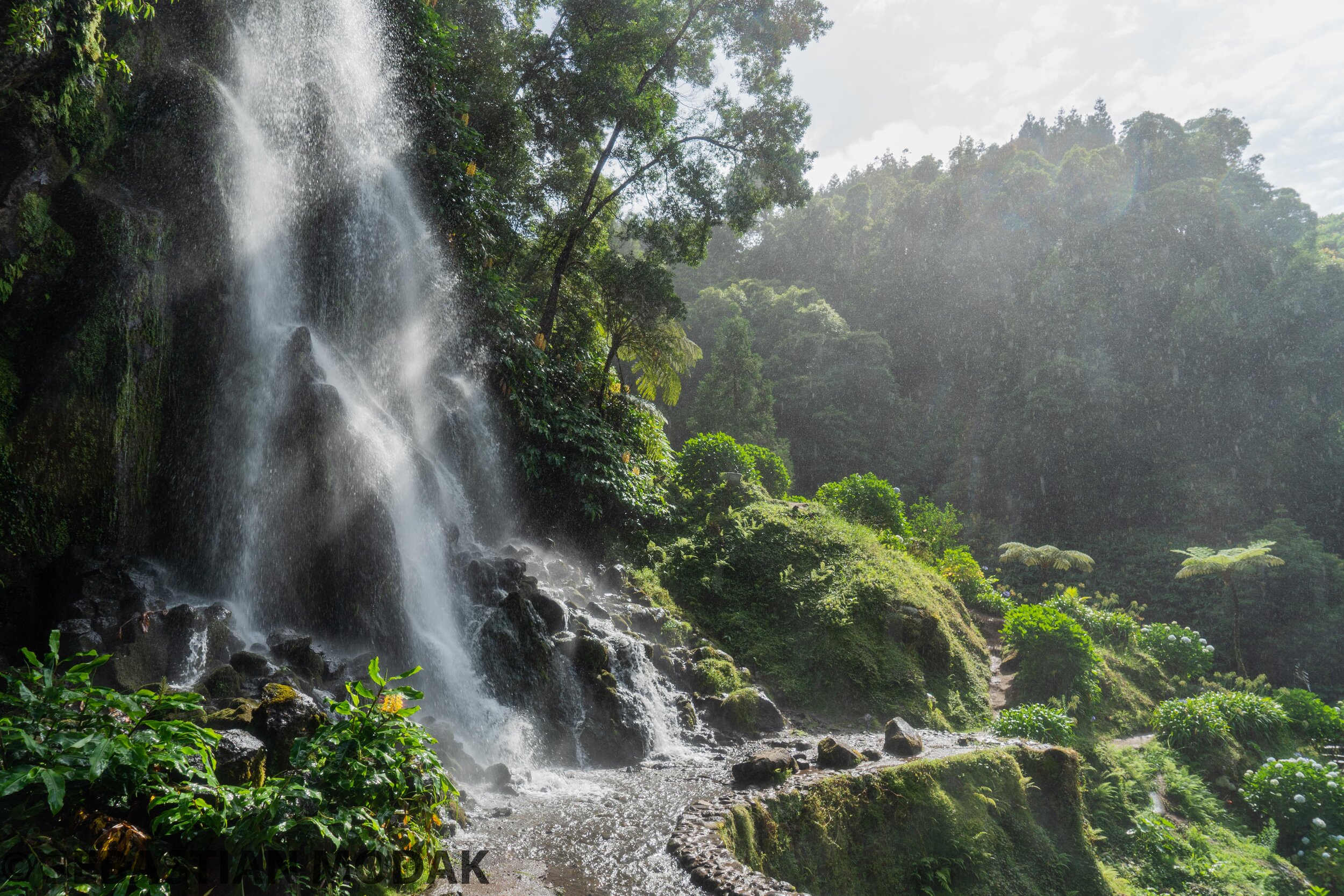  São Miguel, Azores, Portugal 