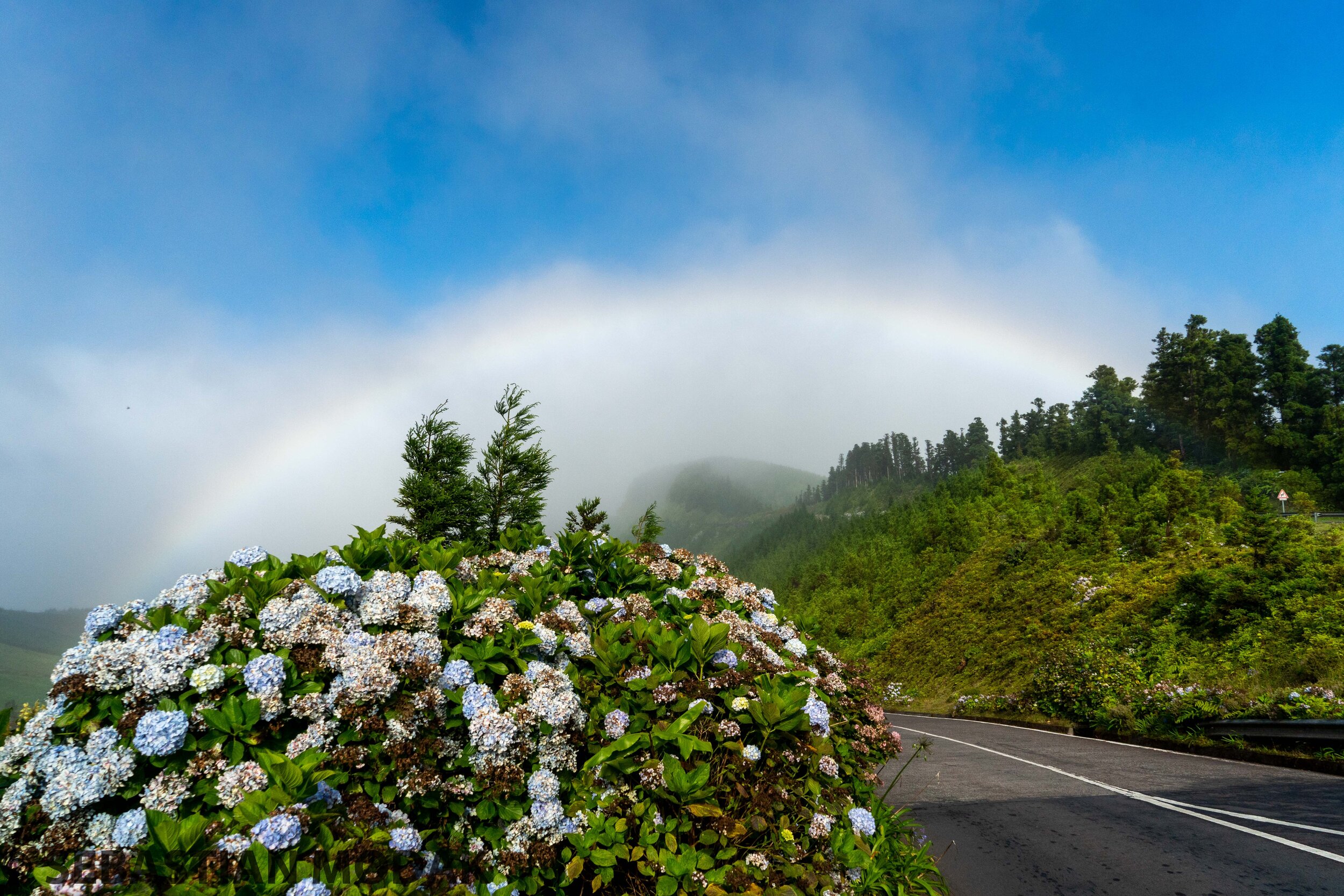  São Miguel, Azores, Portugal 