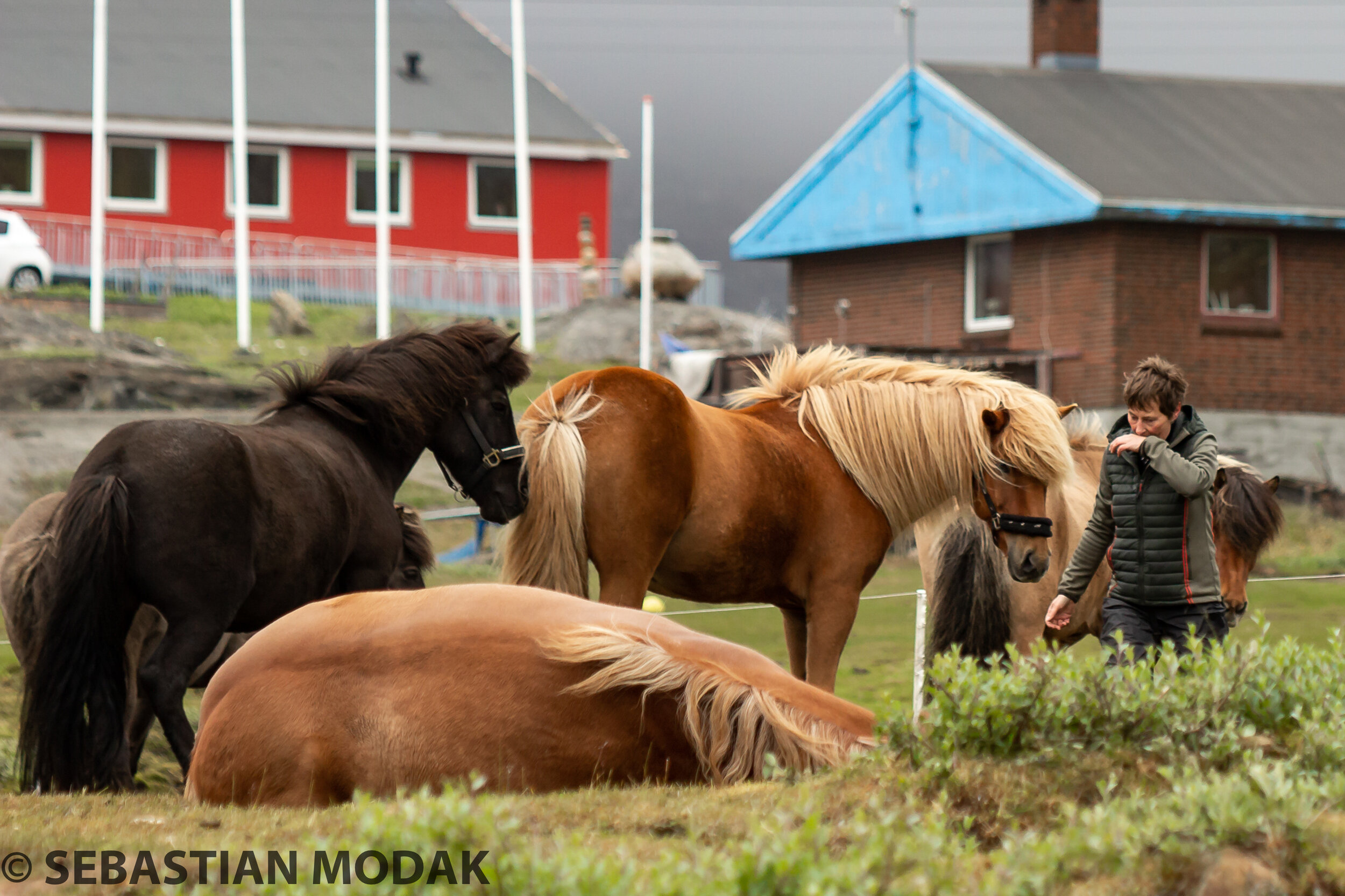  Sisimiut, Greenland 