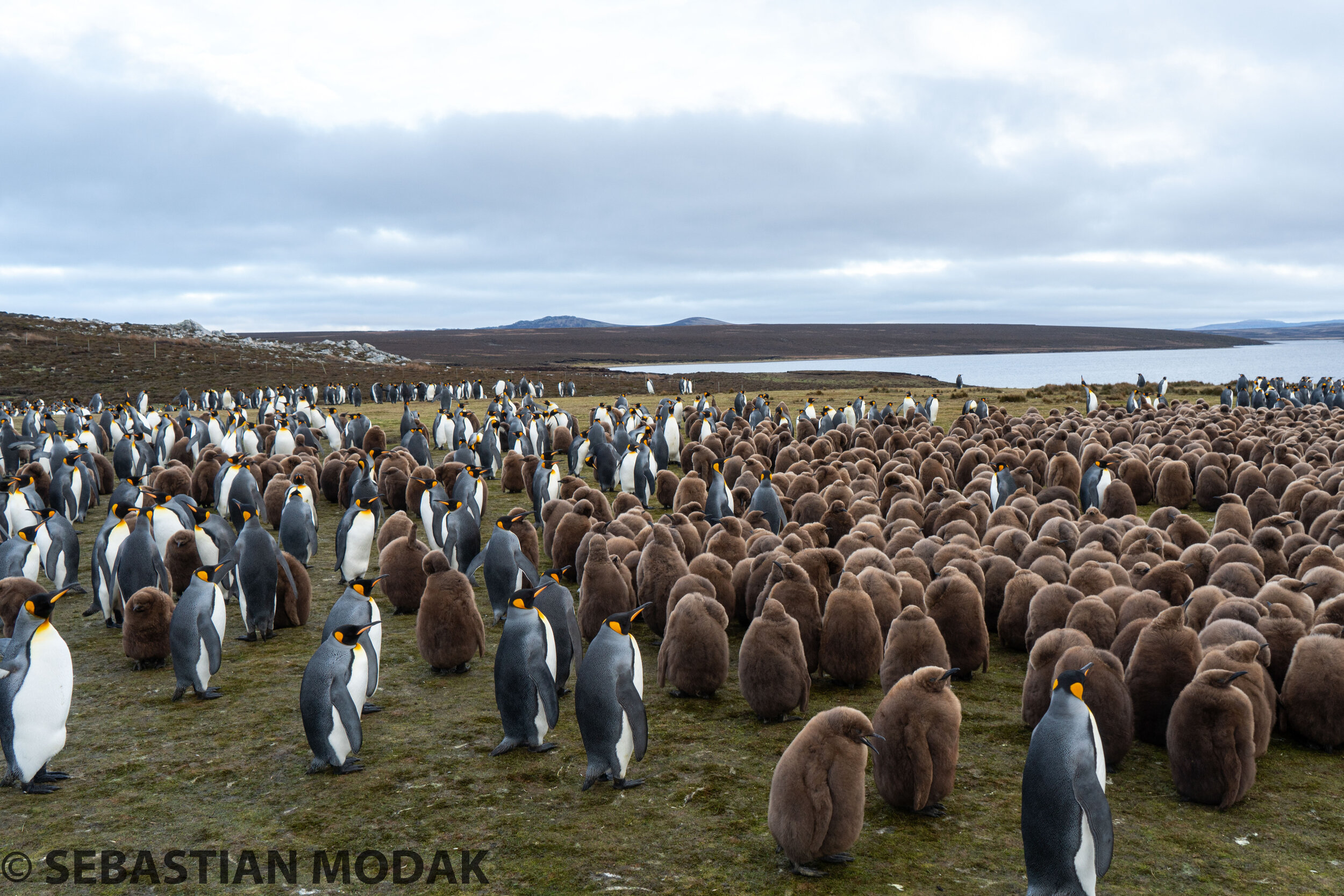  Falkland Islands/Malvinas 