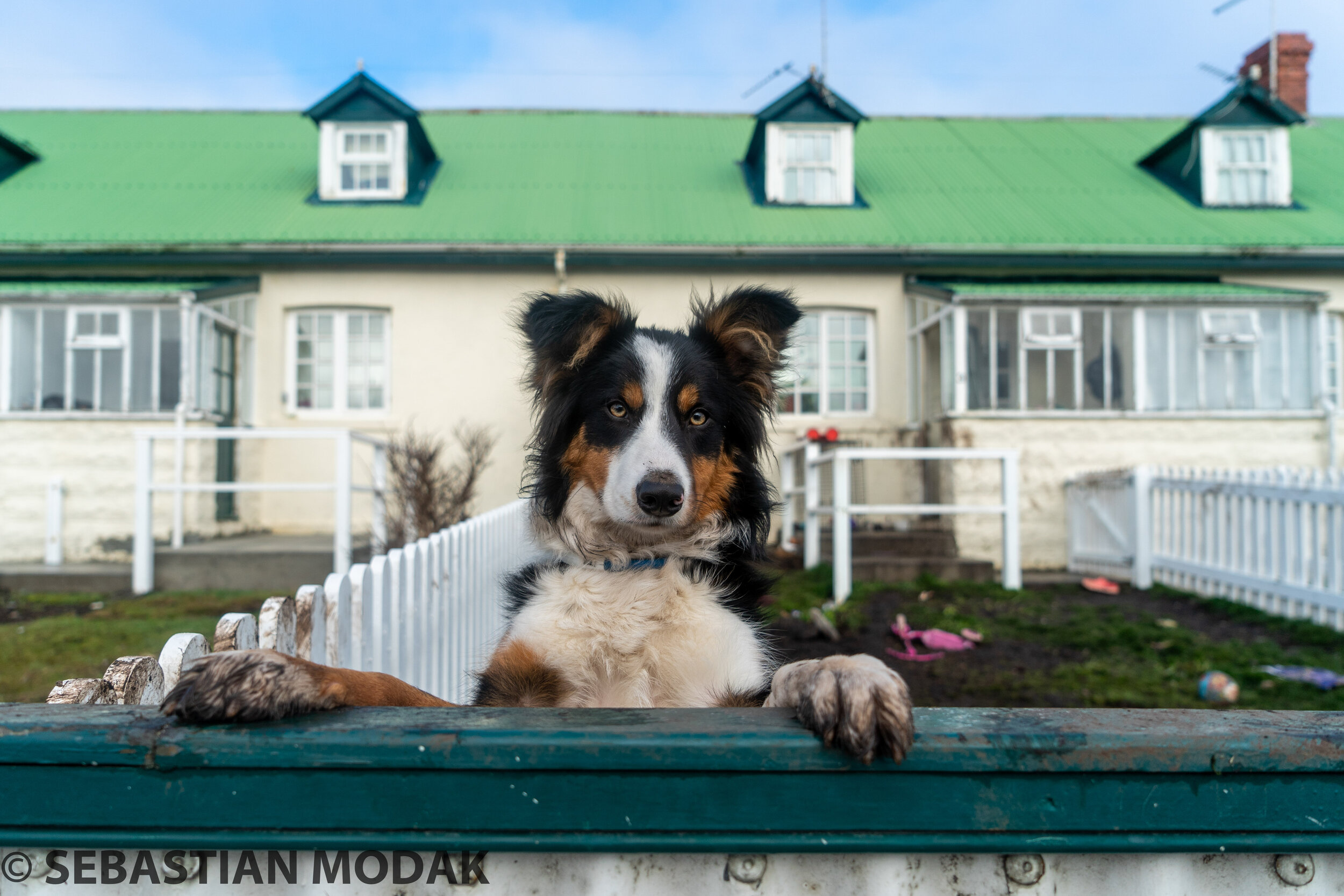  Falkland Islands/Malvinas 