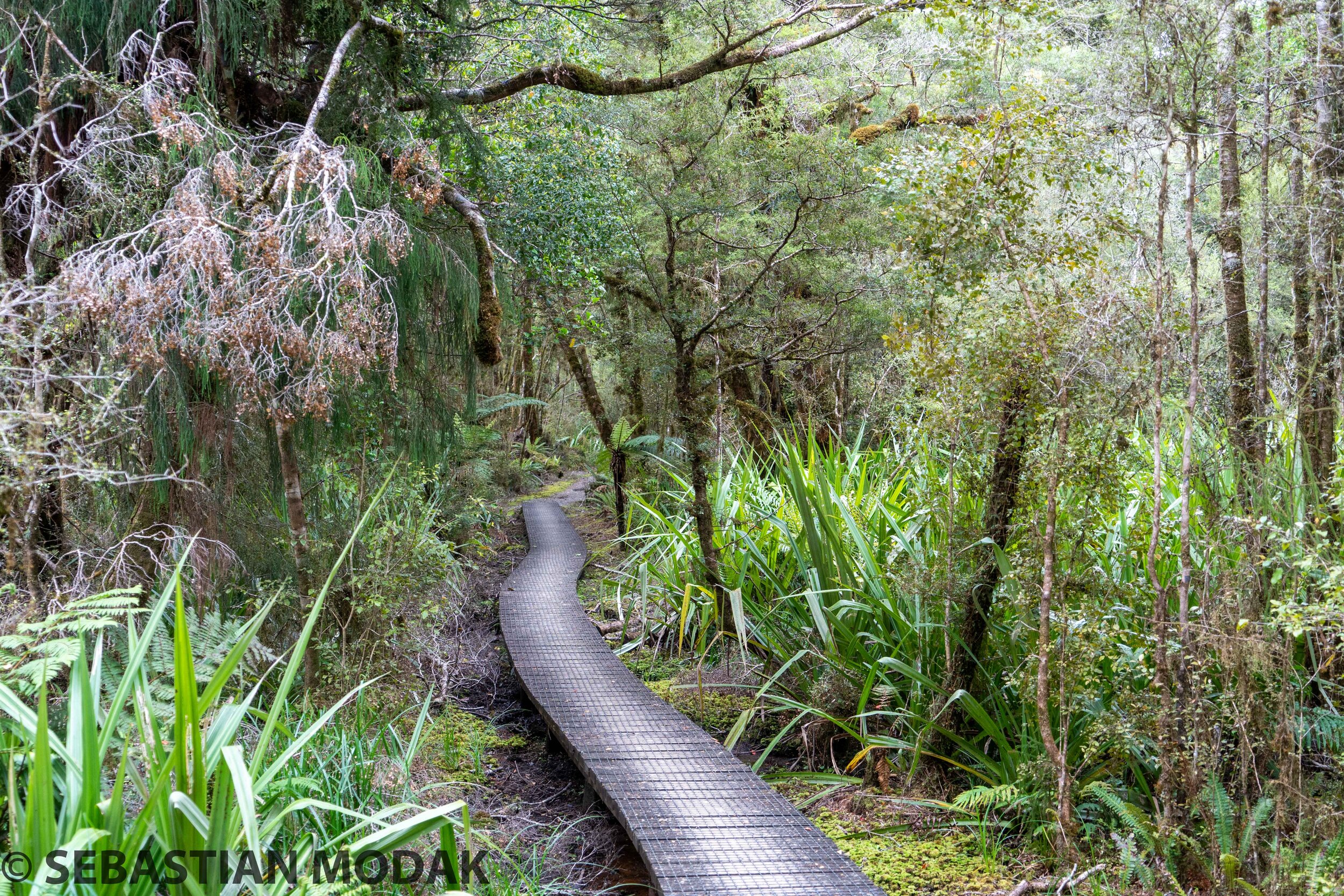  Paparoa Track, New Zealand 