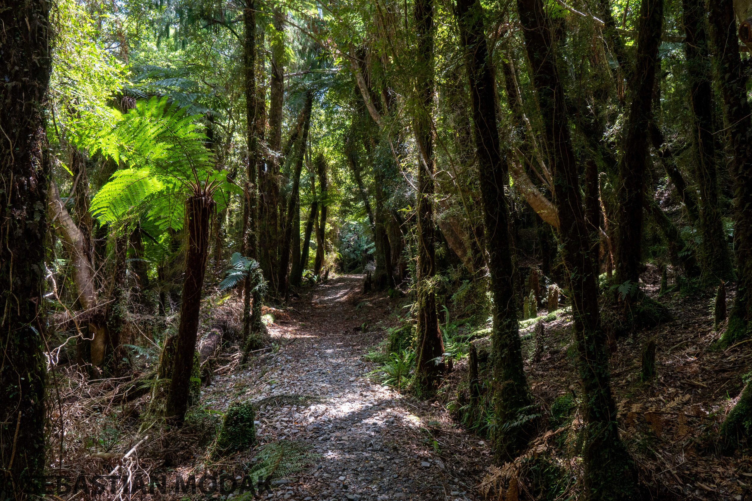  Paparoa Track, New Zealand 