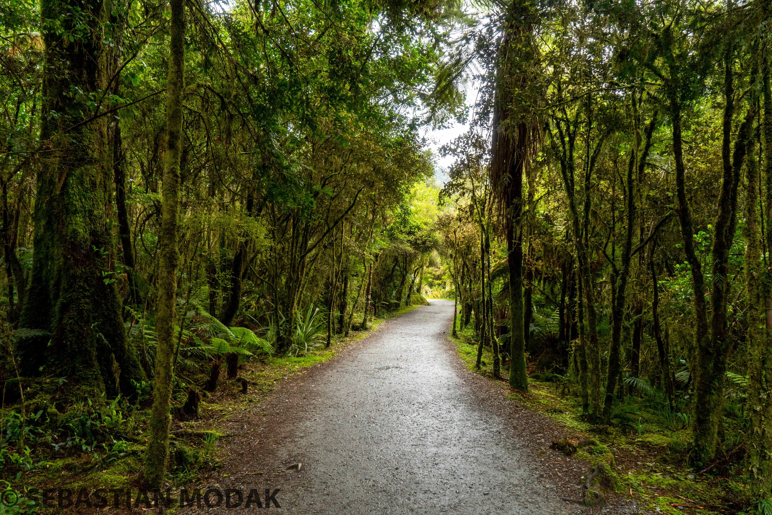  South Island, New Zealand 