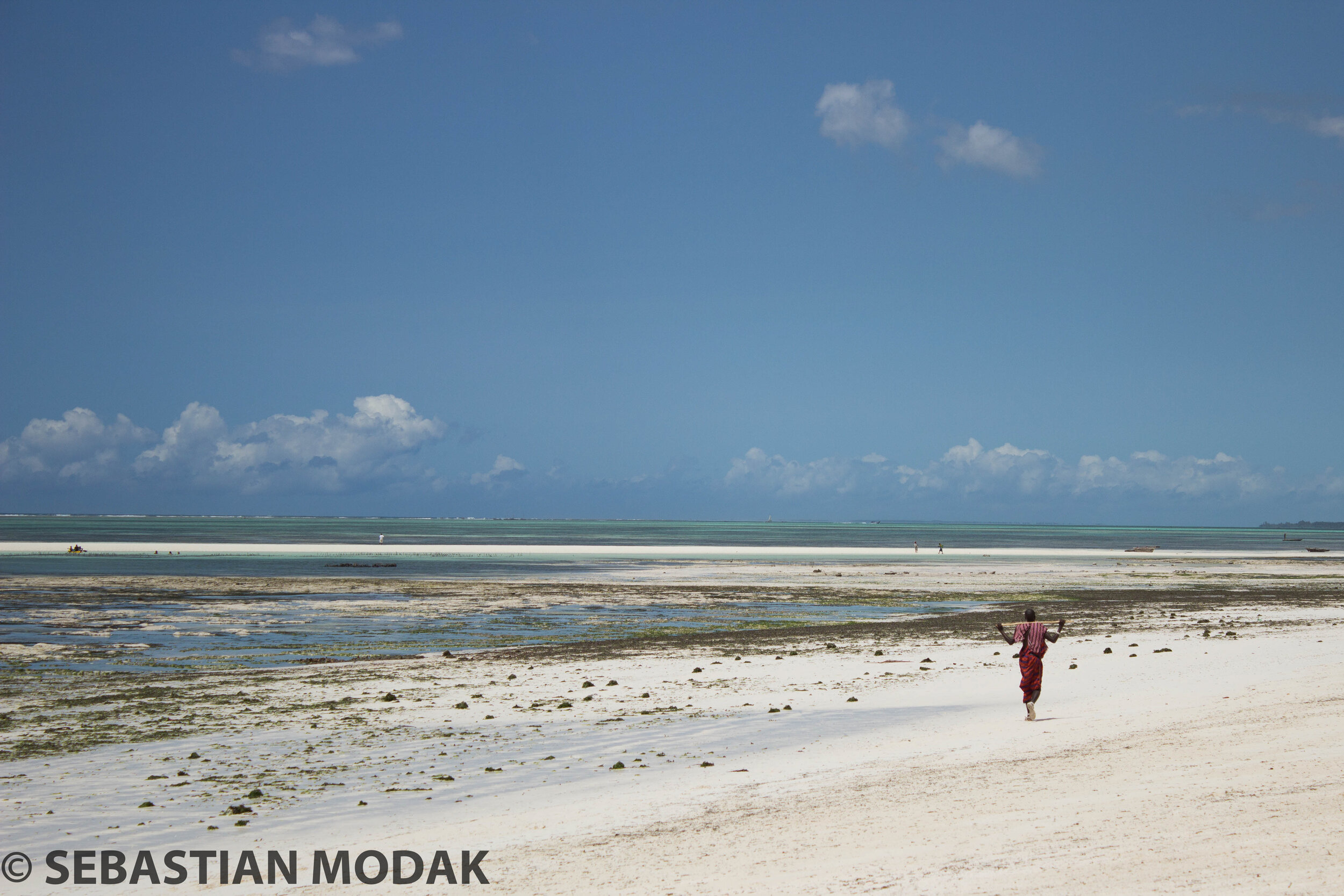  Zanzibar 