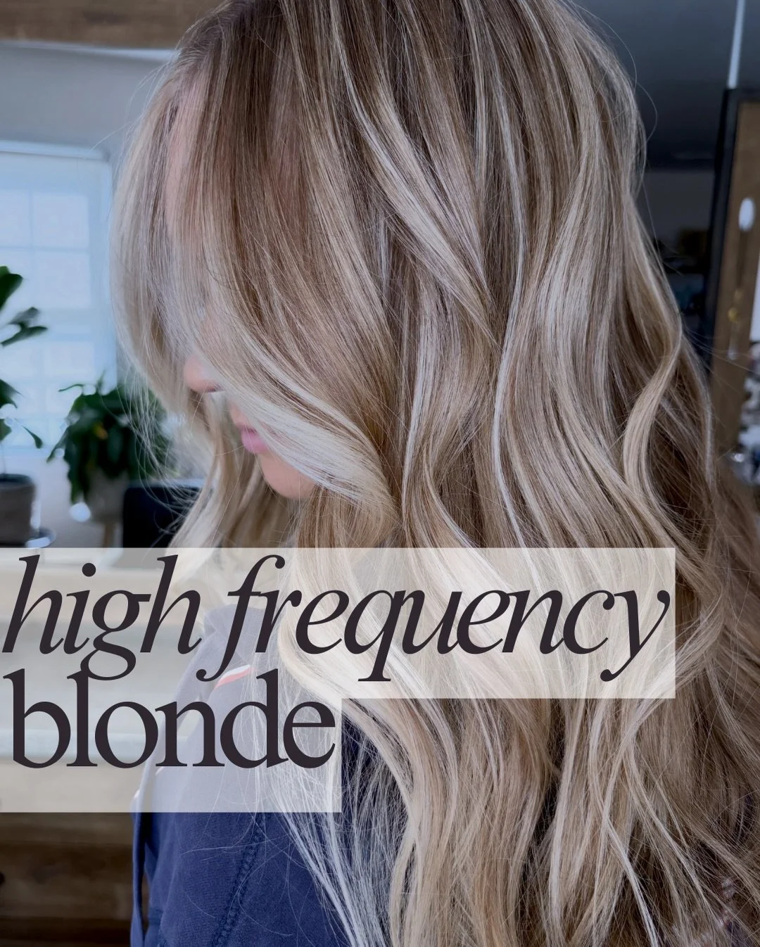 step into the light ✨
.
.
.
#hair #njhairsalon #balayage #blondehair