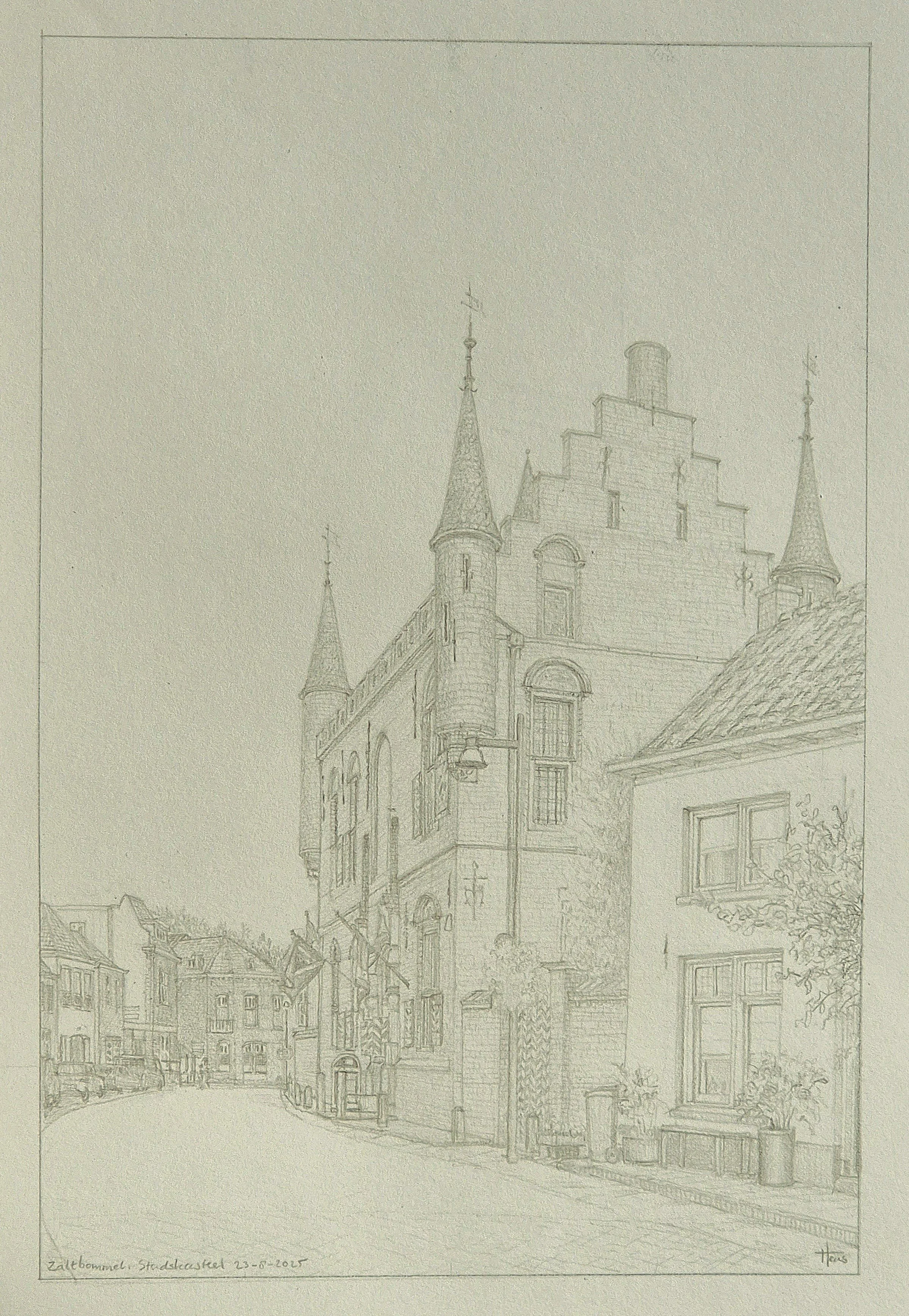 Zaltbommel, Stadskasteel