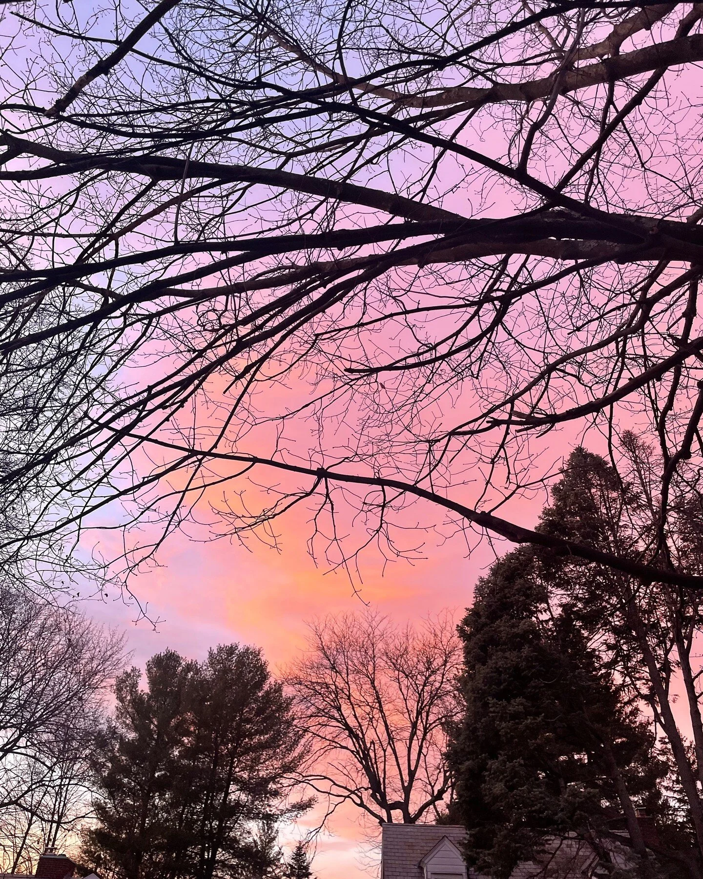 Over the past few years I have found that my day is generally better when I take a walk. In the warmer months I end my workday with a walk, usually around the neighborhood and a nearby pond. Sometimes I listen to a podcast, other times I phone a frie