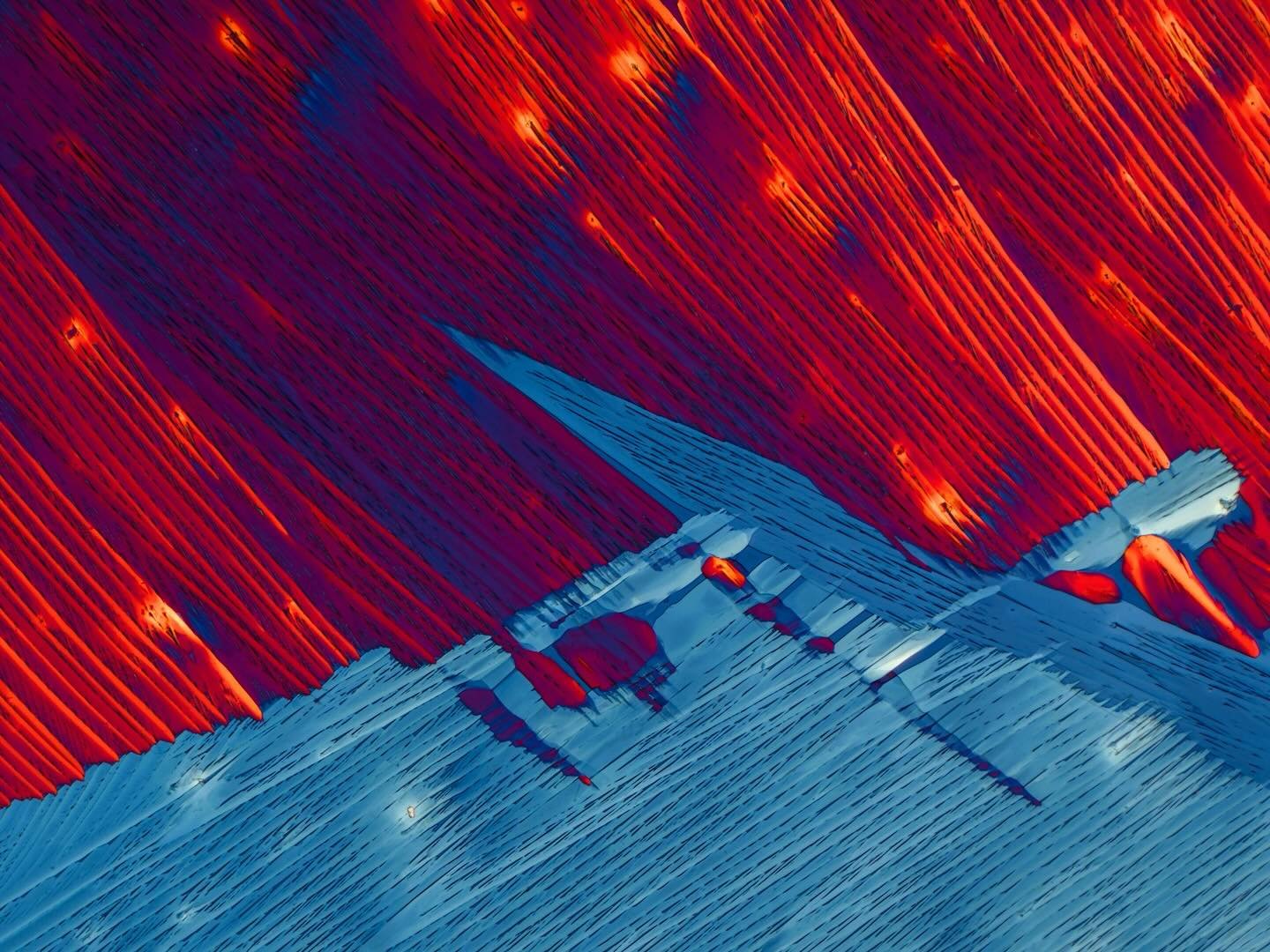 Light micrograph (polarized light) of crystallized Oxycodone (dihydrohydroxycodeinone). Oxycodone is an opioid medication and commonly prescribed for acute pain conditions but is also known for its high potential for dependency and misuse, leading to