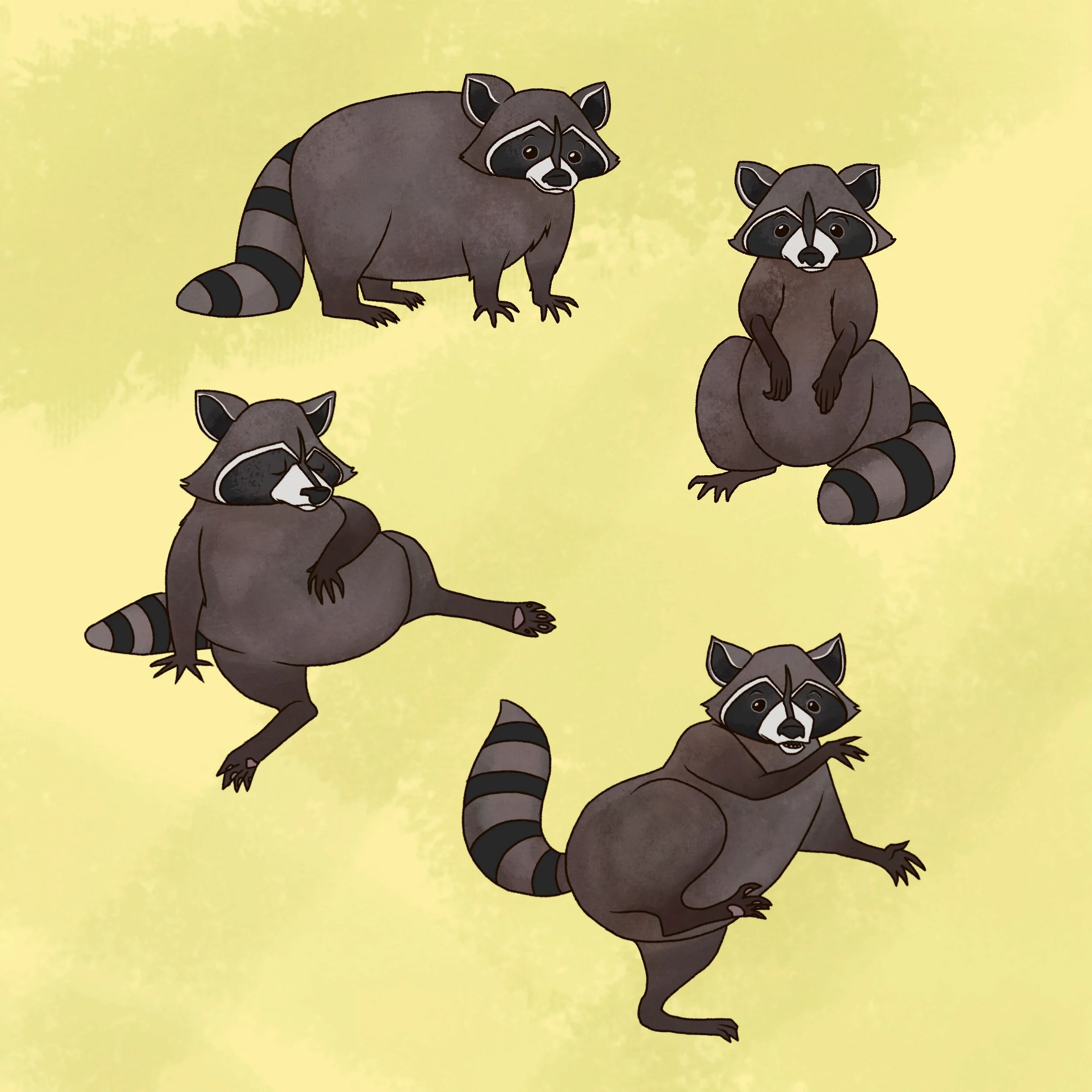 raccoons.JPG