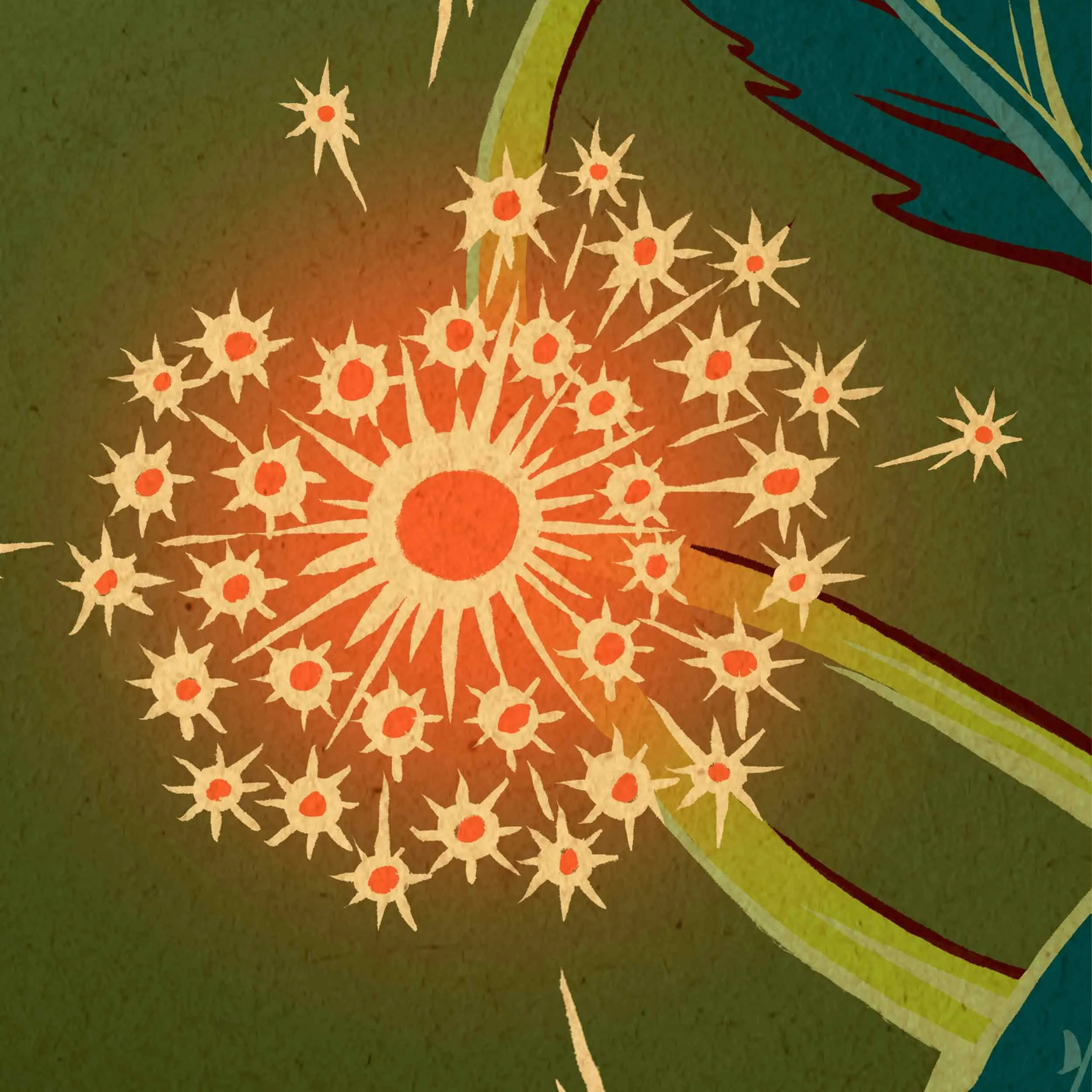 Imaginarium_2500C.jpg