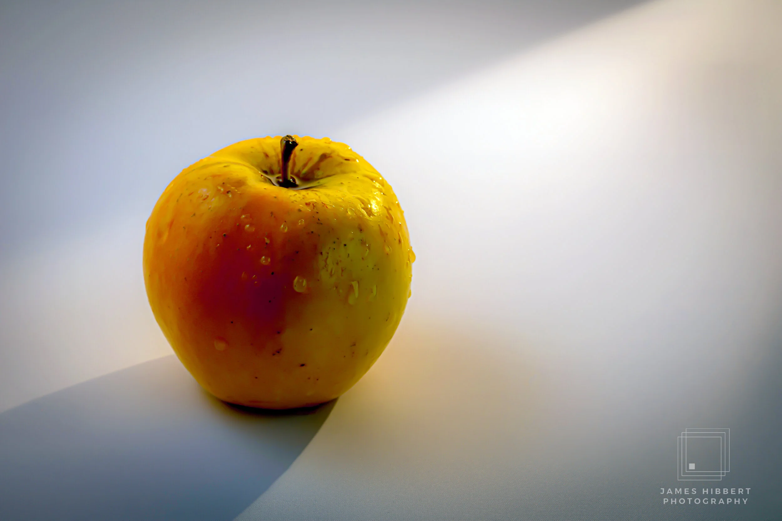 _DSC6817-3-1-1.jpg