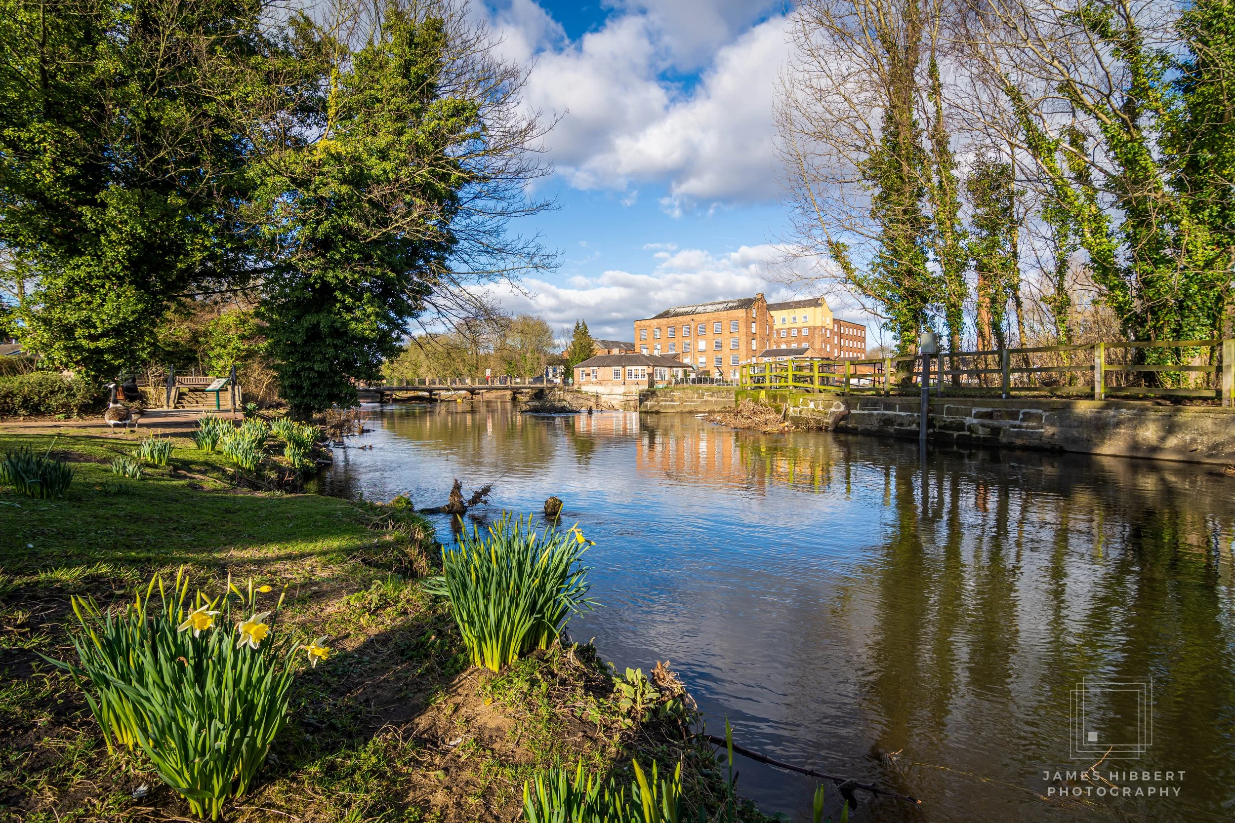 Springtime at Darley Abbey Mills