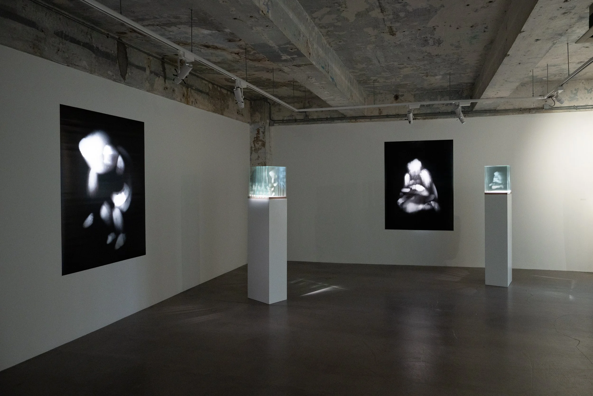   Isaac Chong Wai: carefully   16 Sep 2025 - 01 Nov 2025  Blindspot Gallery is pleased to present Isaac Chong Wai’s second solo exhibition,  “carefully” , from 13 September to 1 November 2025. Chong explores the human condition through the lens of mo