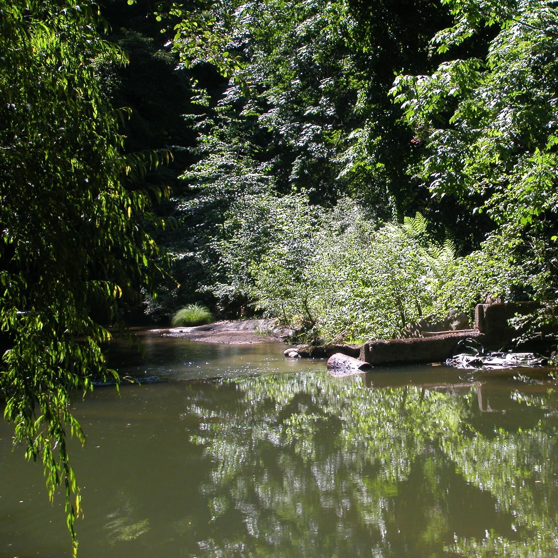 on the river spring - 065.jpg