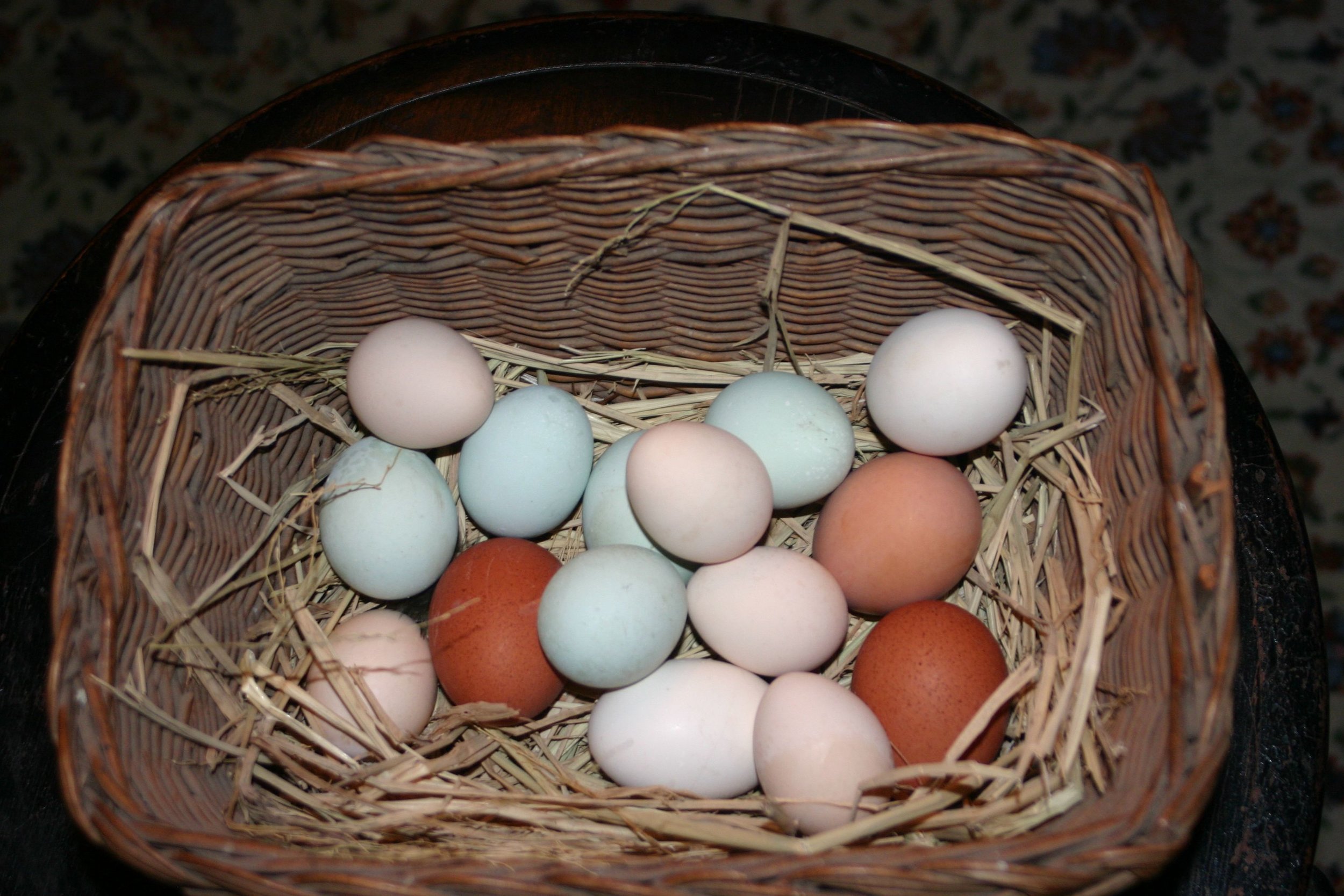 eggs IMG_6134.jpg