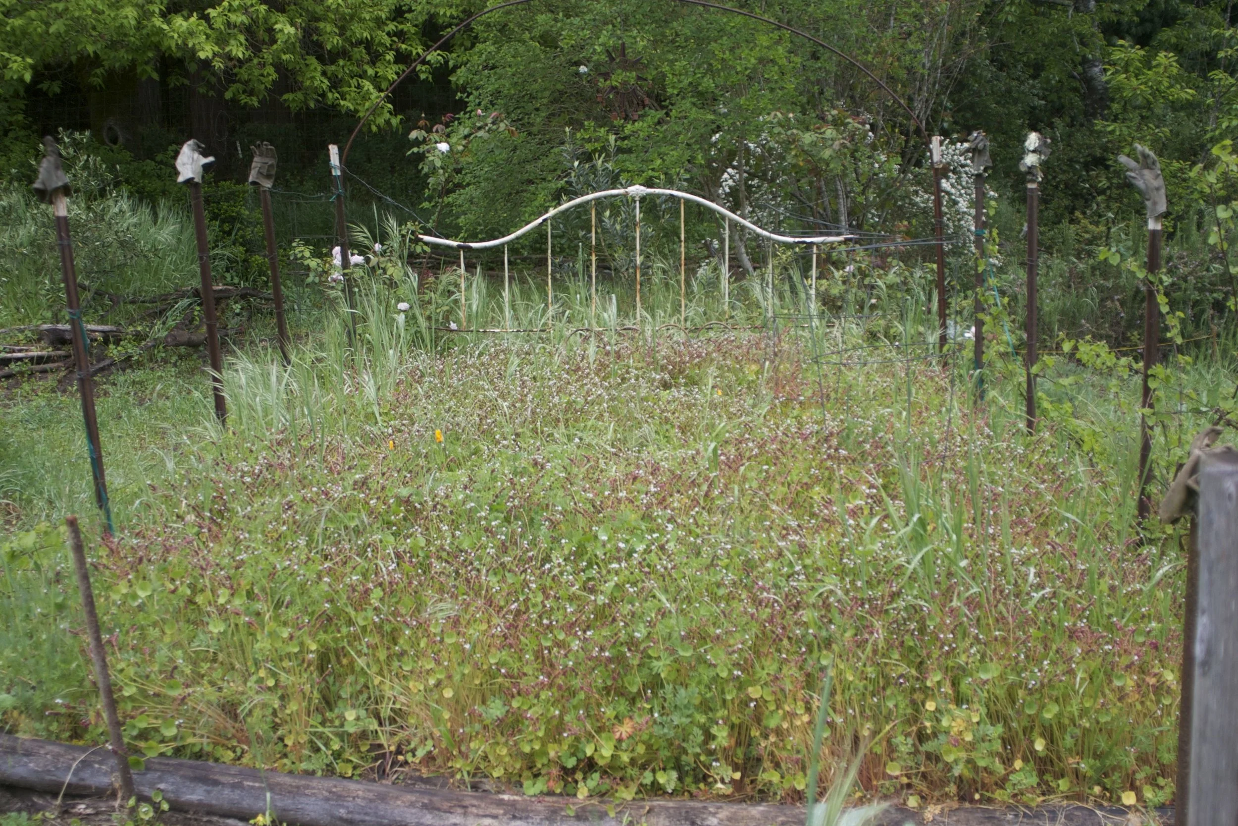springCRW_0422.jpg