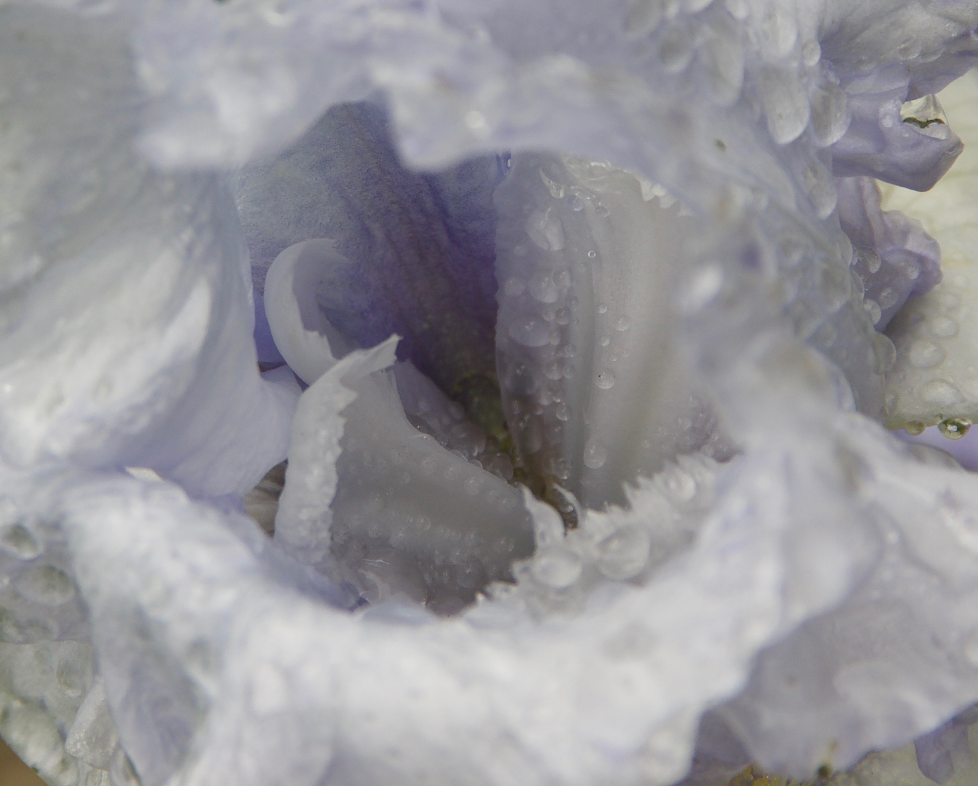 CRW_0470.jpg