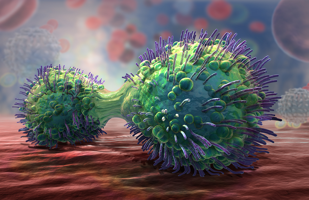 cell proliferation.jpg