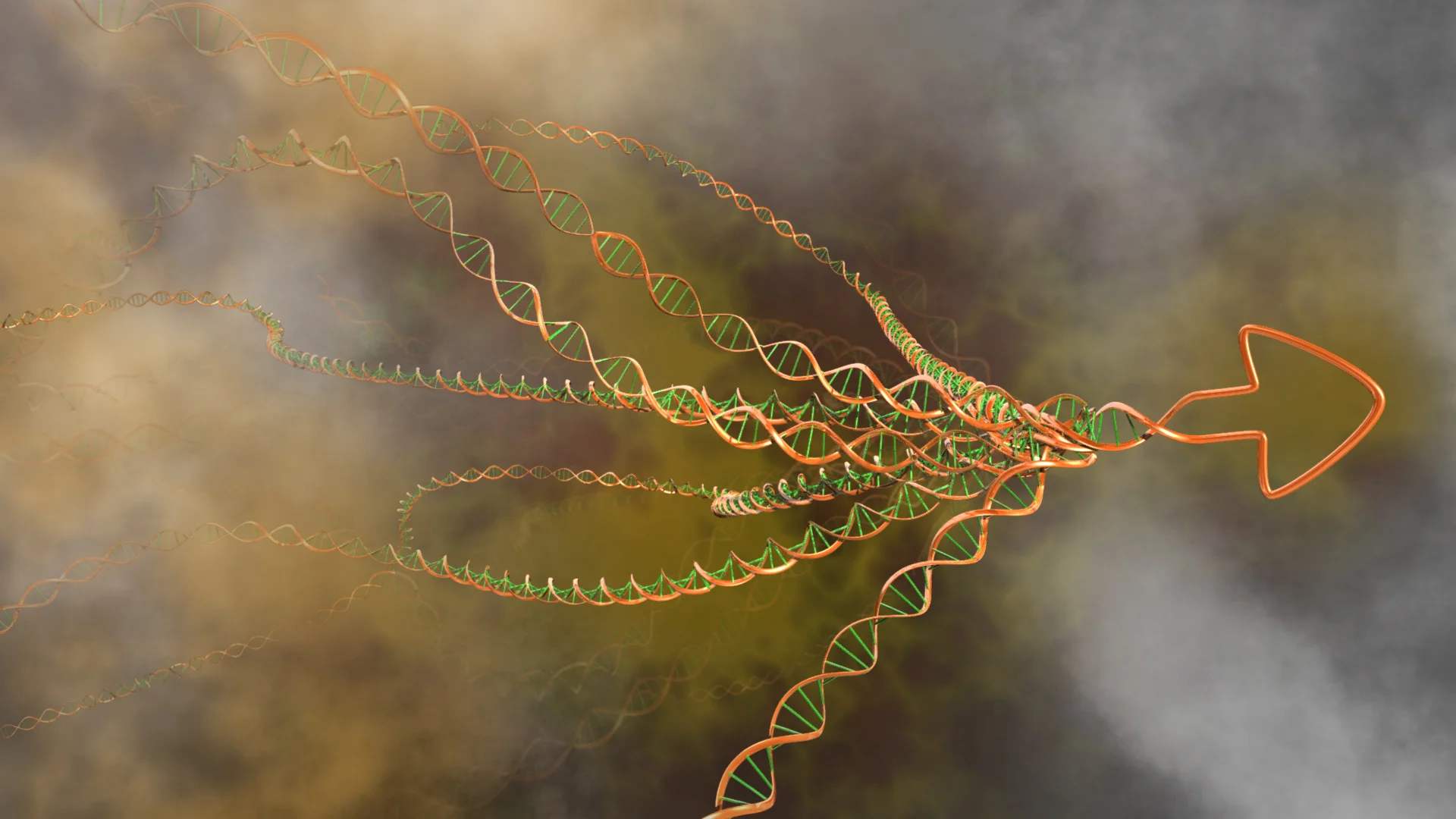 DNA Direct.jpg