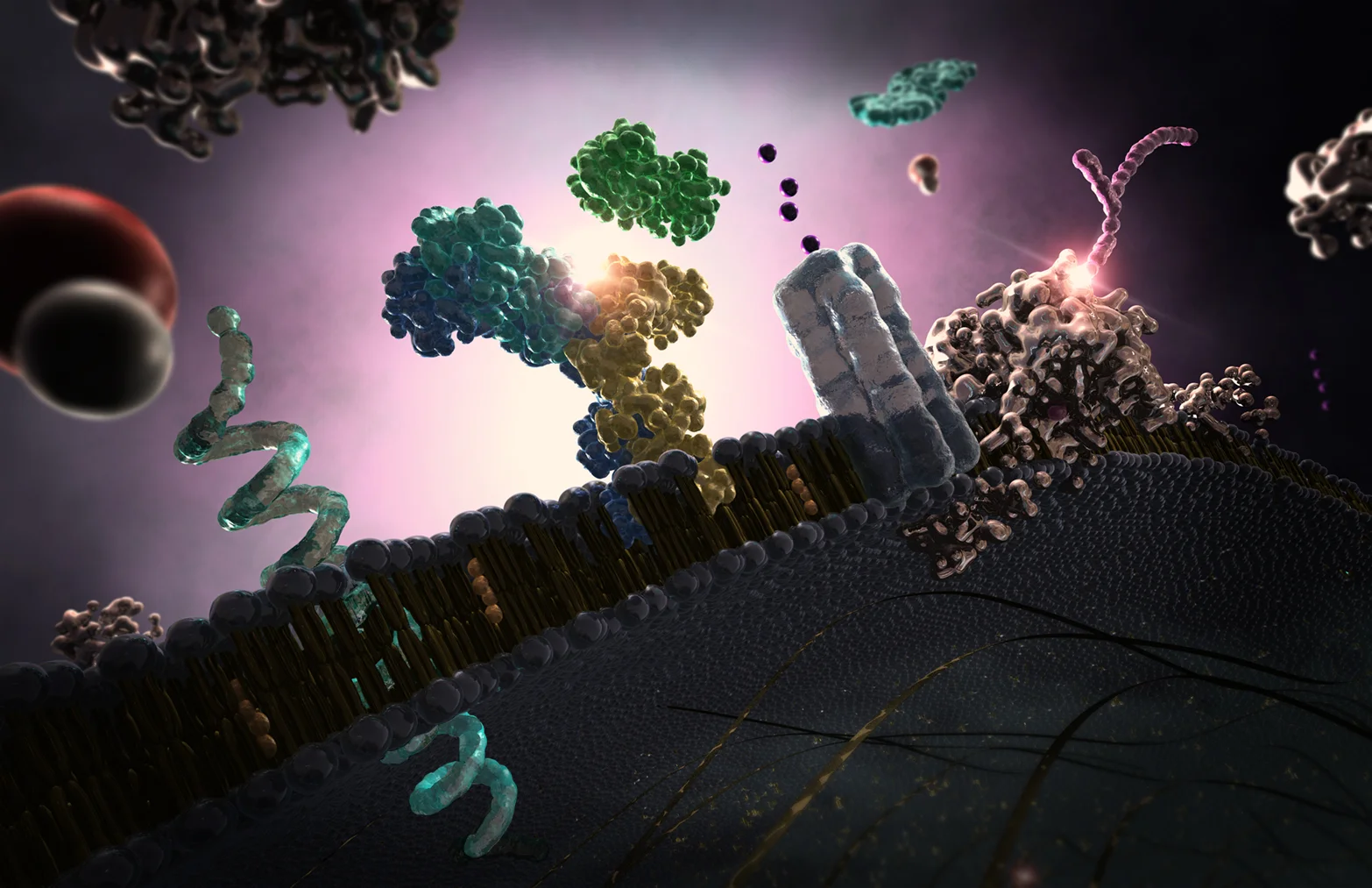 ExtraCellularActivity1.jpg