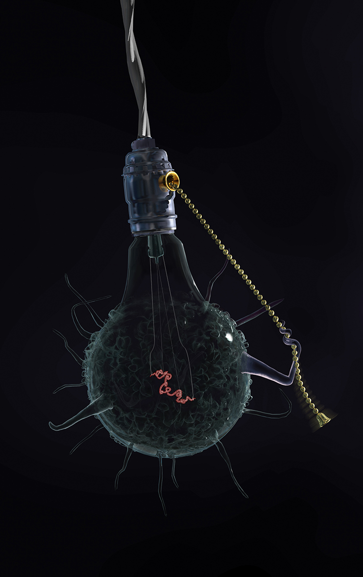 HangingLightbulbCell5.jpg