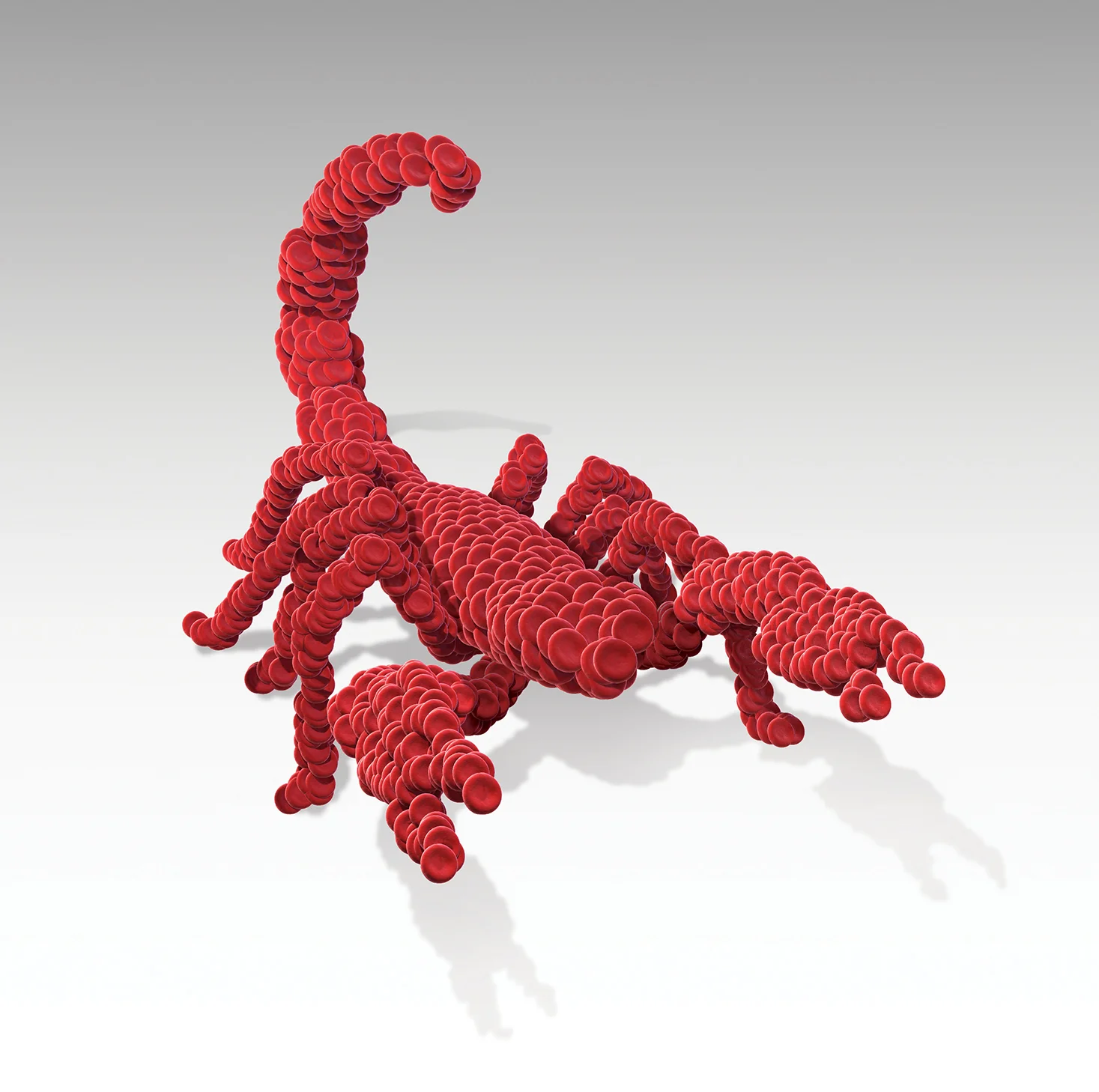 Scorpion_redCells.jpg