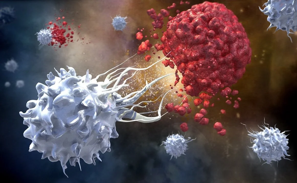 NK Cell attacking cancer.jpeg