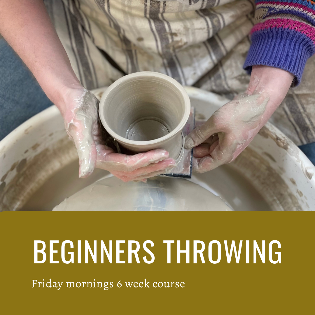 Beginners Throwing - Friday 26th February 10am - 12.30pm