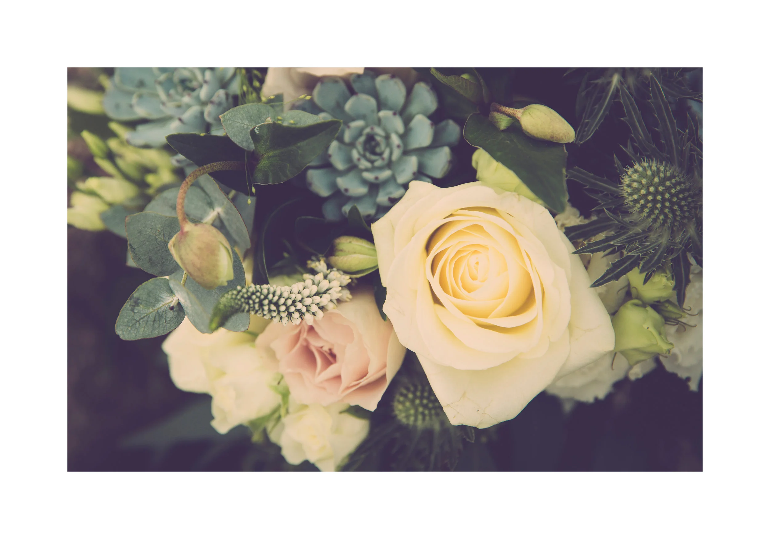 1_0009_Details.jpg