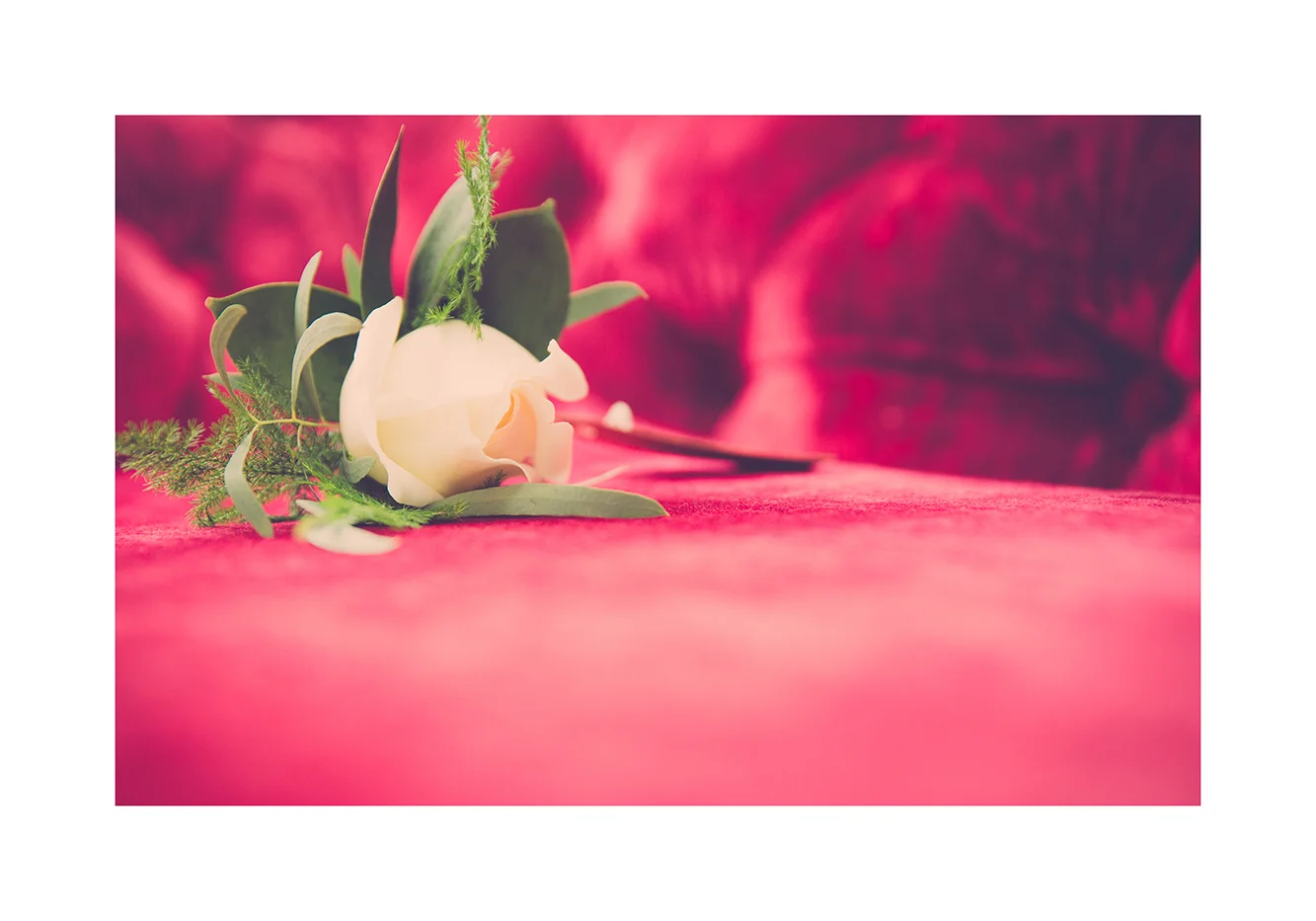 1_0011_Details.jpg