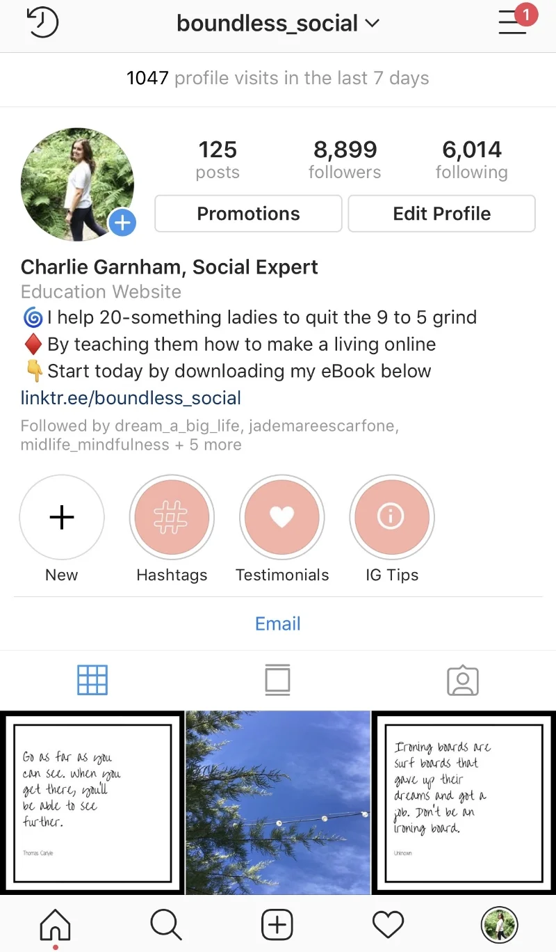 instagram screenshot.jpg