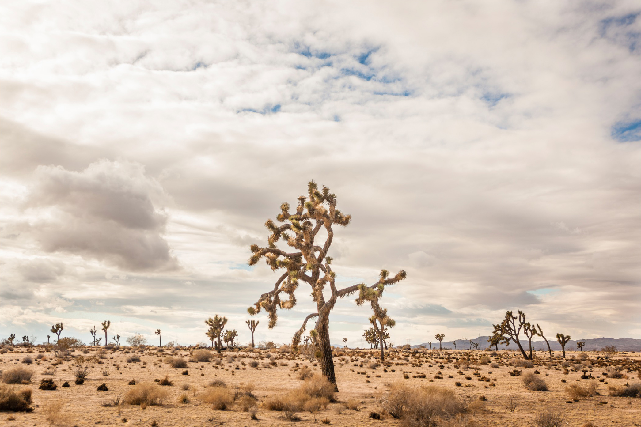 Screen Shot 2017-02-18 at 3.03.49 PM.jpg