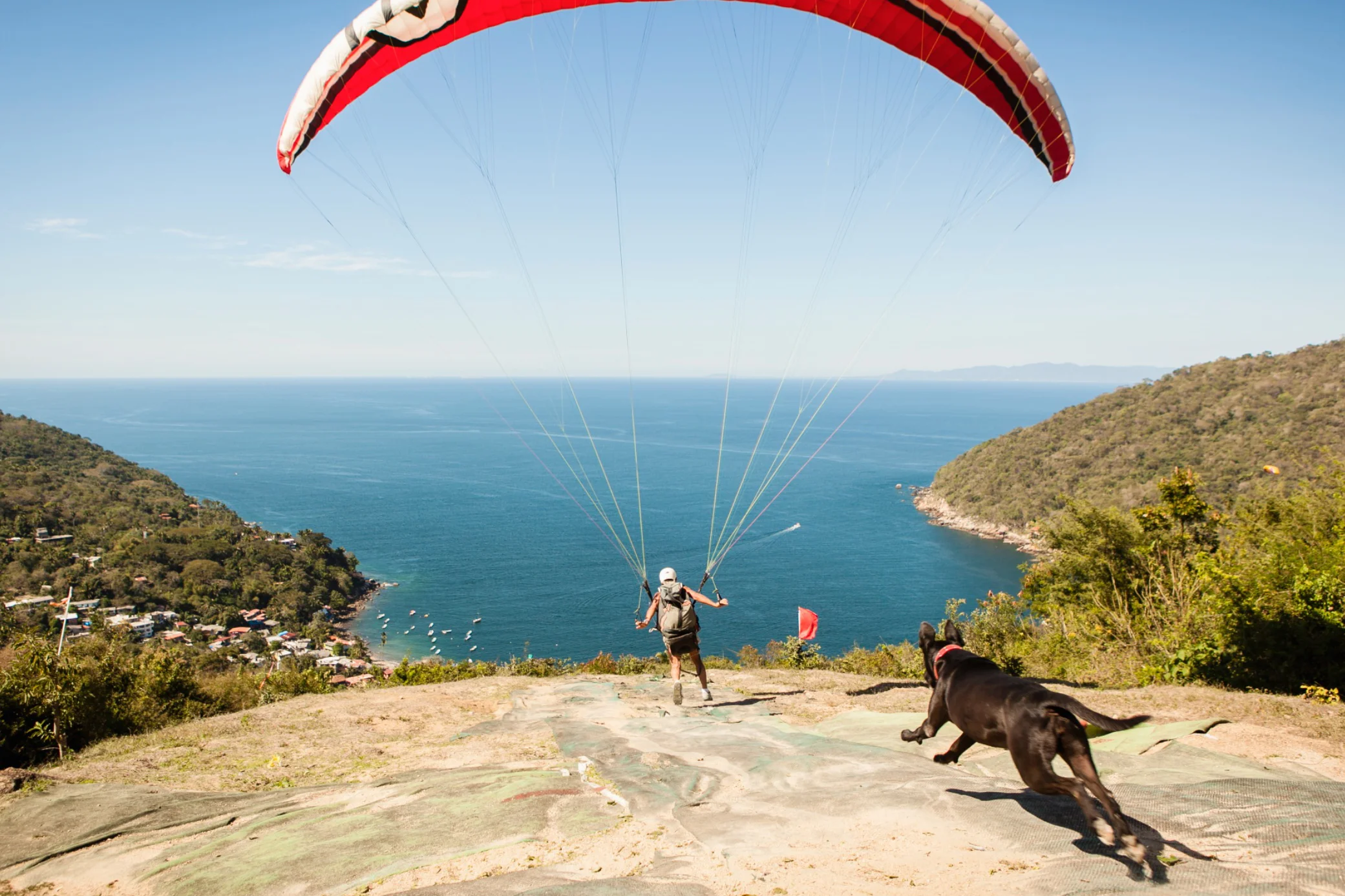 Screen Shot 2017-02-18 at 3.05.20 PM.jpg