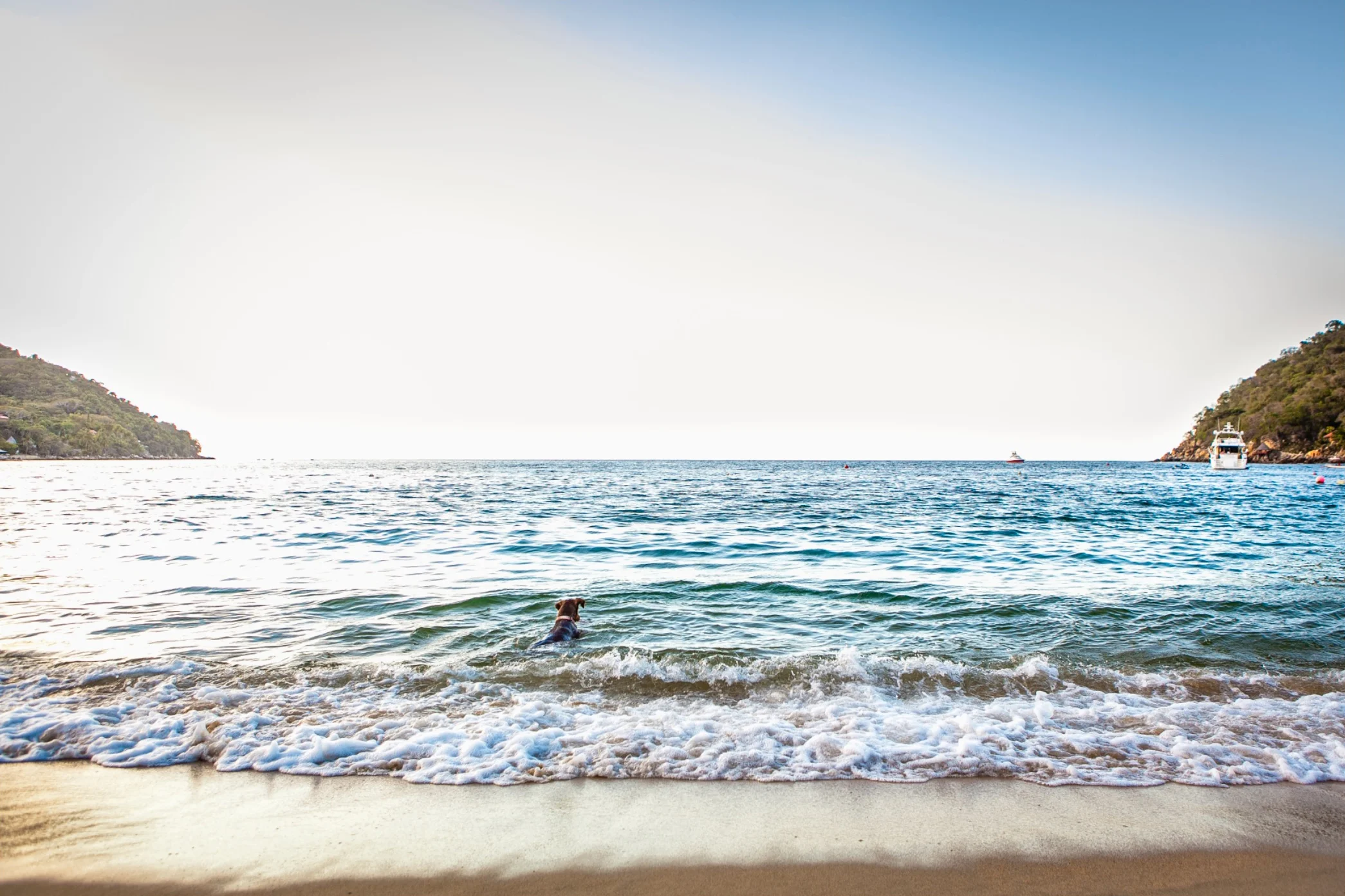 Screen Shot 2017-02-18 at 3.05.24 PM.jpg