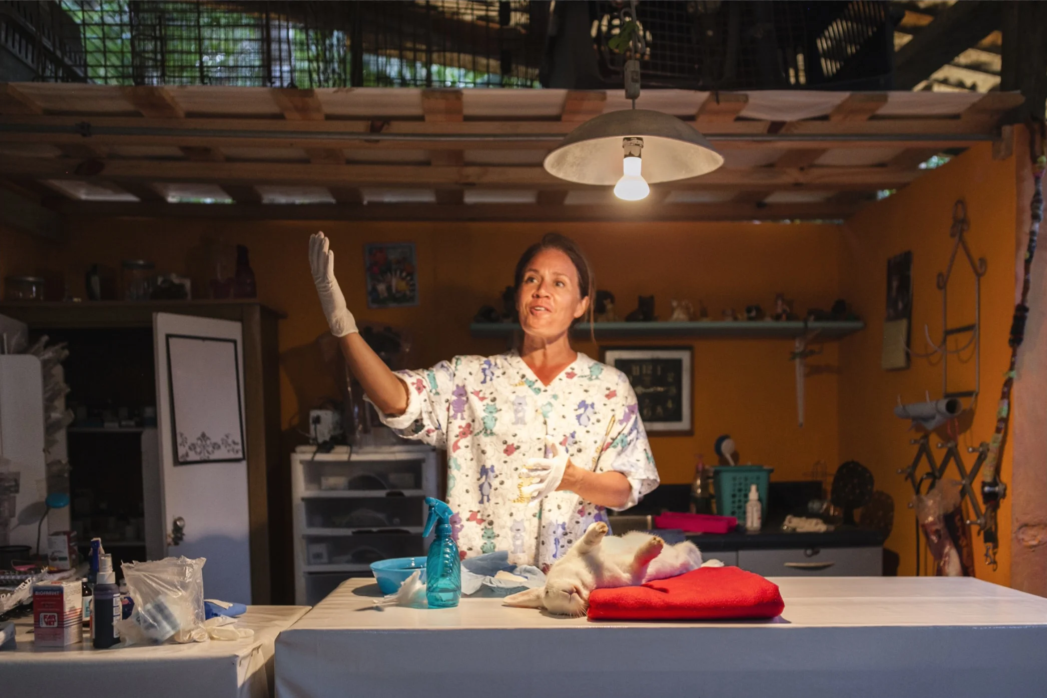 Screen Shot 2017-02-18 at 2.16.59 PM.jpg