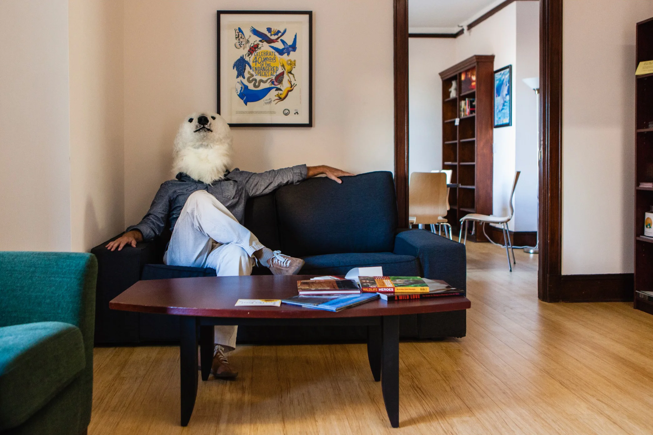 Screen Shot 2017-02-18 at 2.41.23 PM.jpg