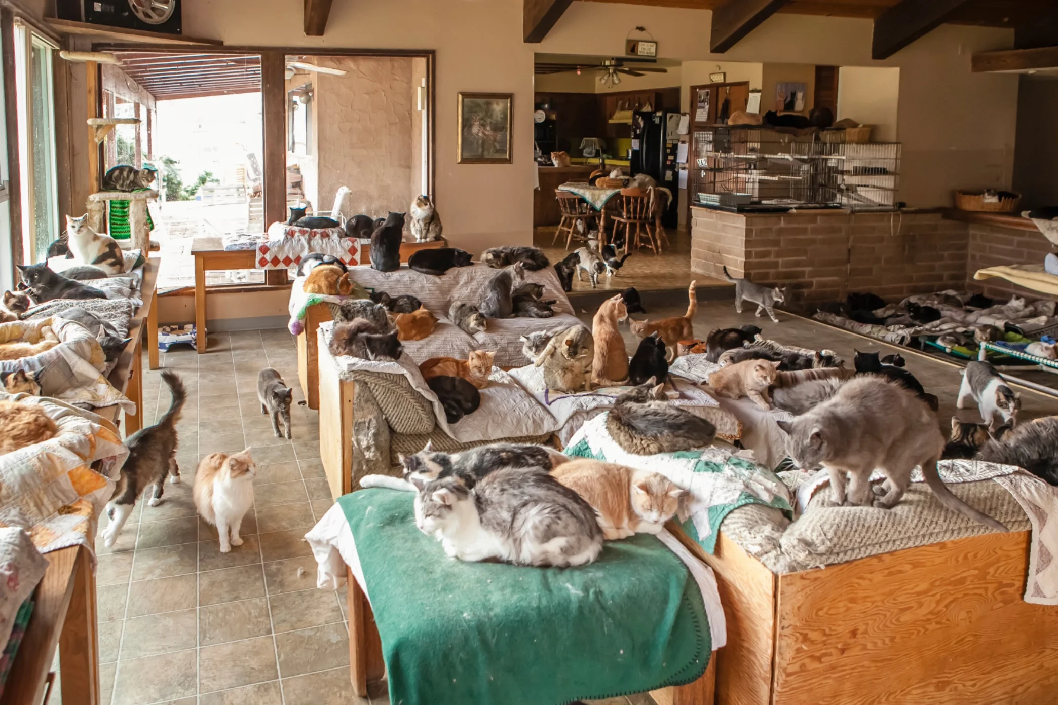 Screen Shot 2017-02-18 at 4.08.52 PM.jpg