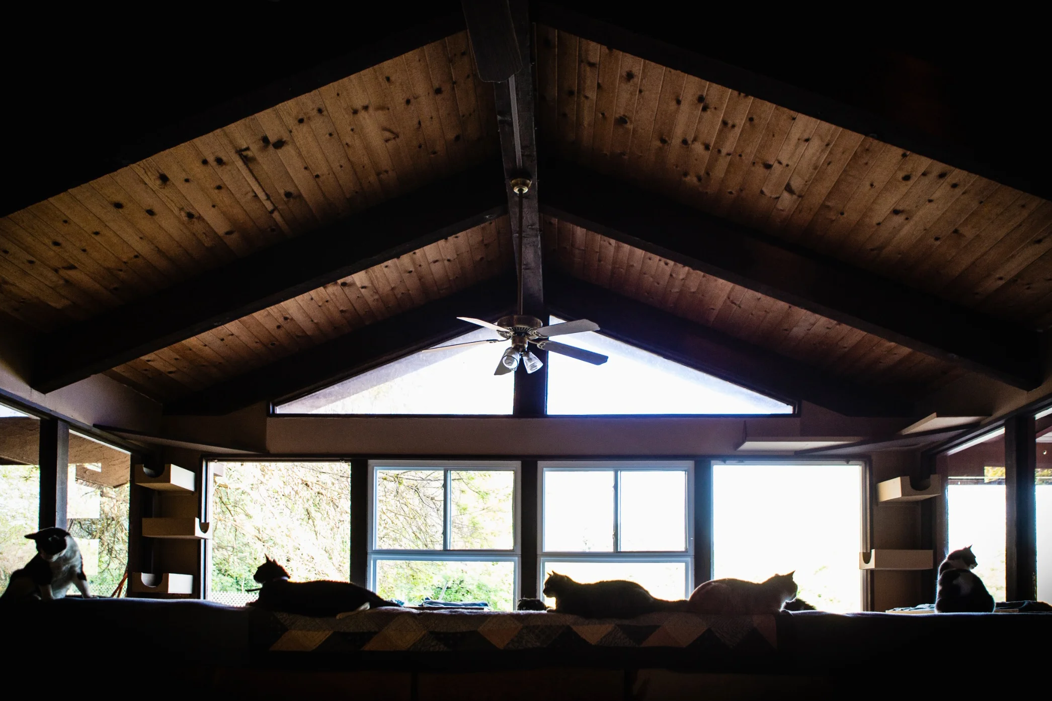 Screen Shot 2017-02-18 at 4.09.08 PM.jpg