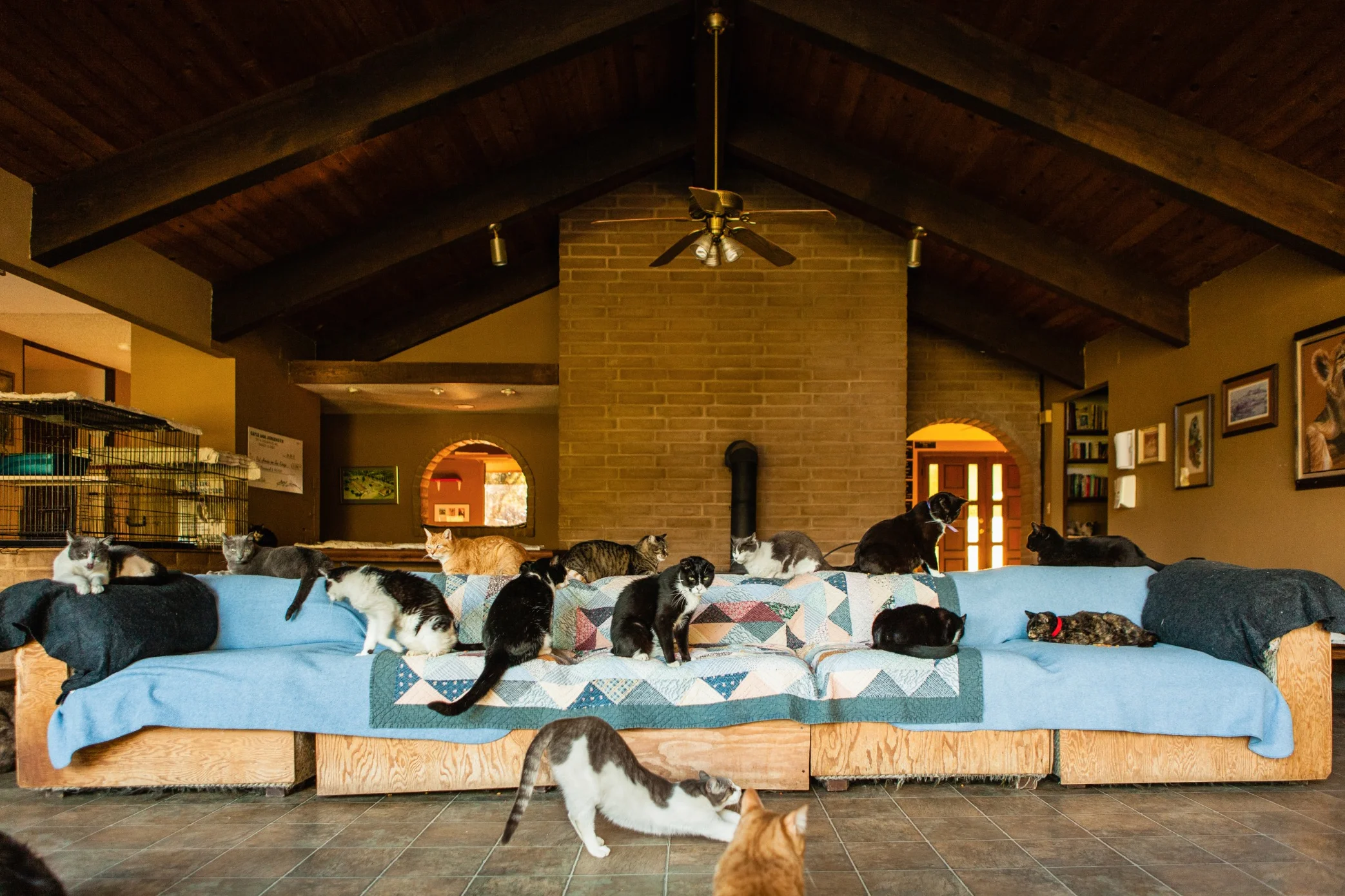 Screen Shot 2017-02-18 at 4.09.15 PM.jpg