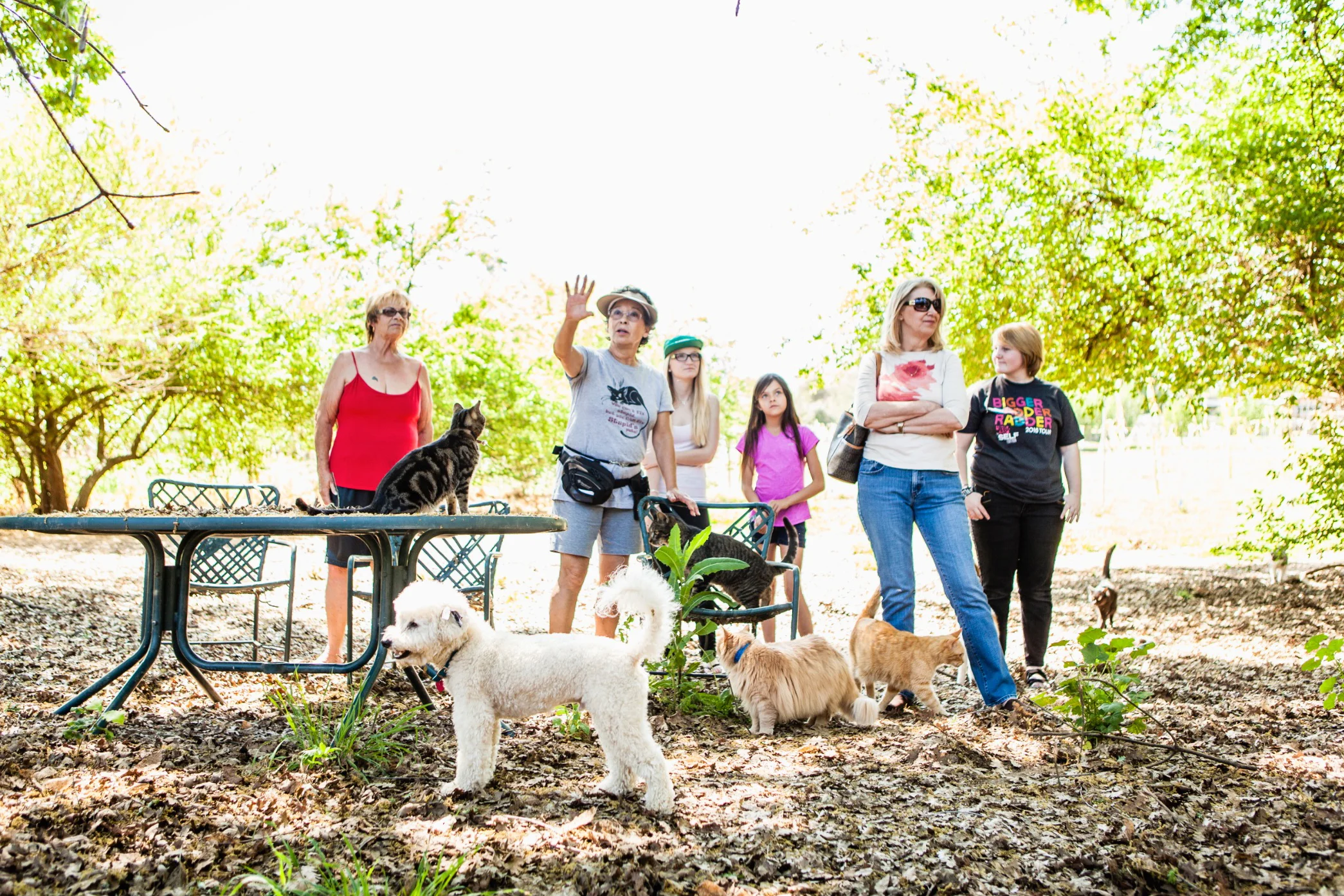 Screen Shot 2017-02-18 at 4.09.28 PM.jpg