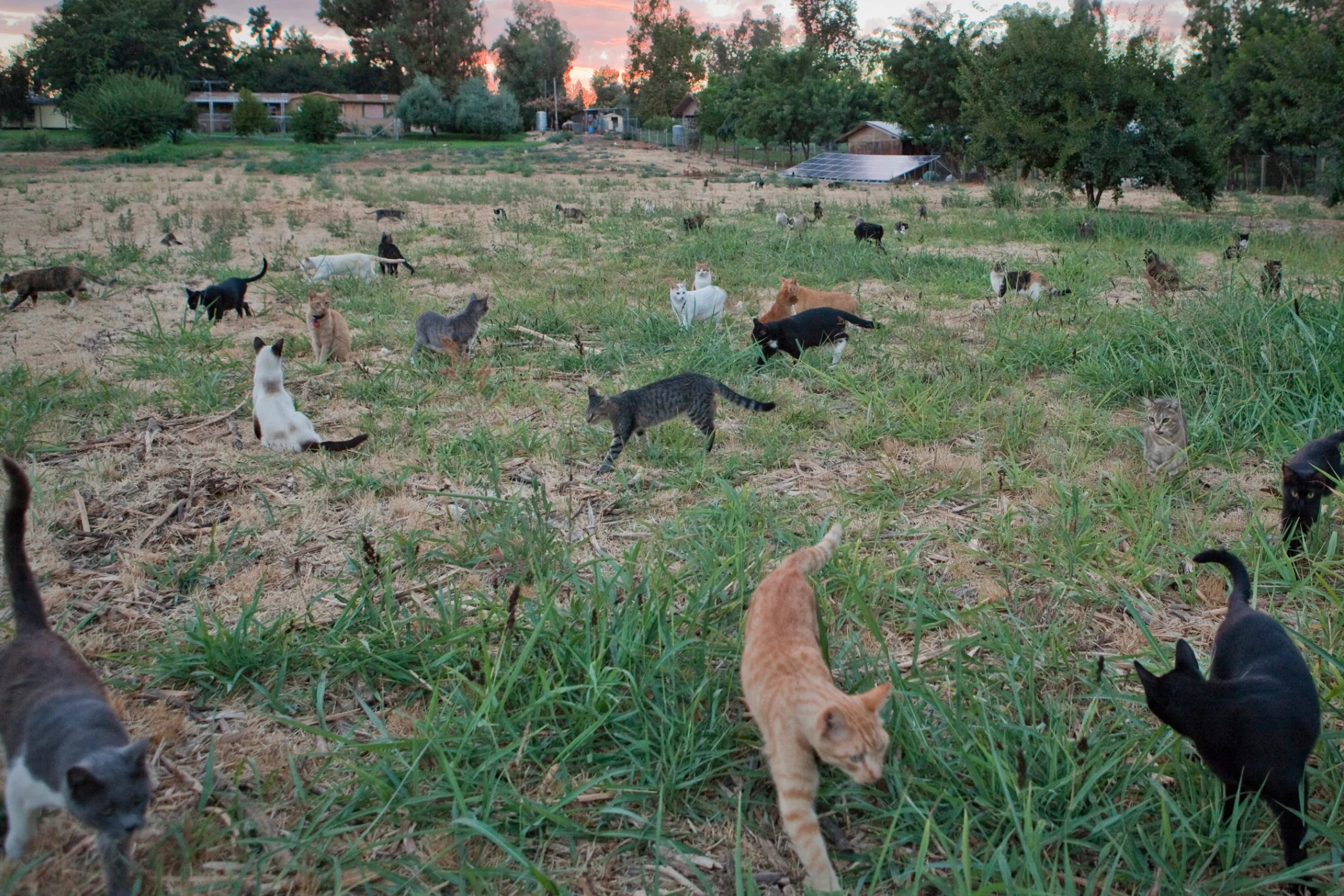 Screen Shot 2017-02-18 at 4.10.03 PM.jpg