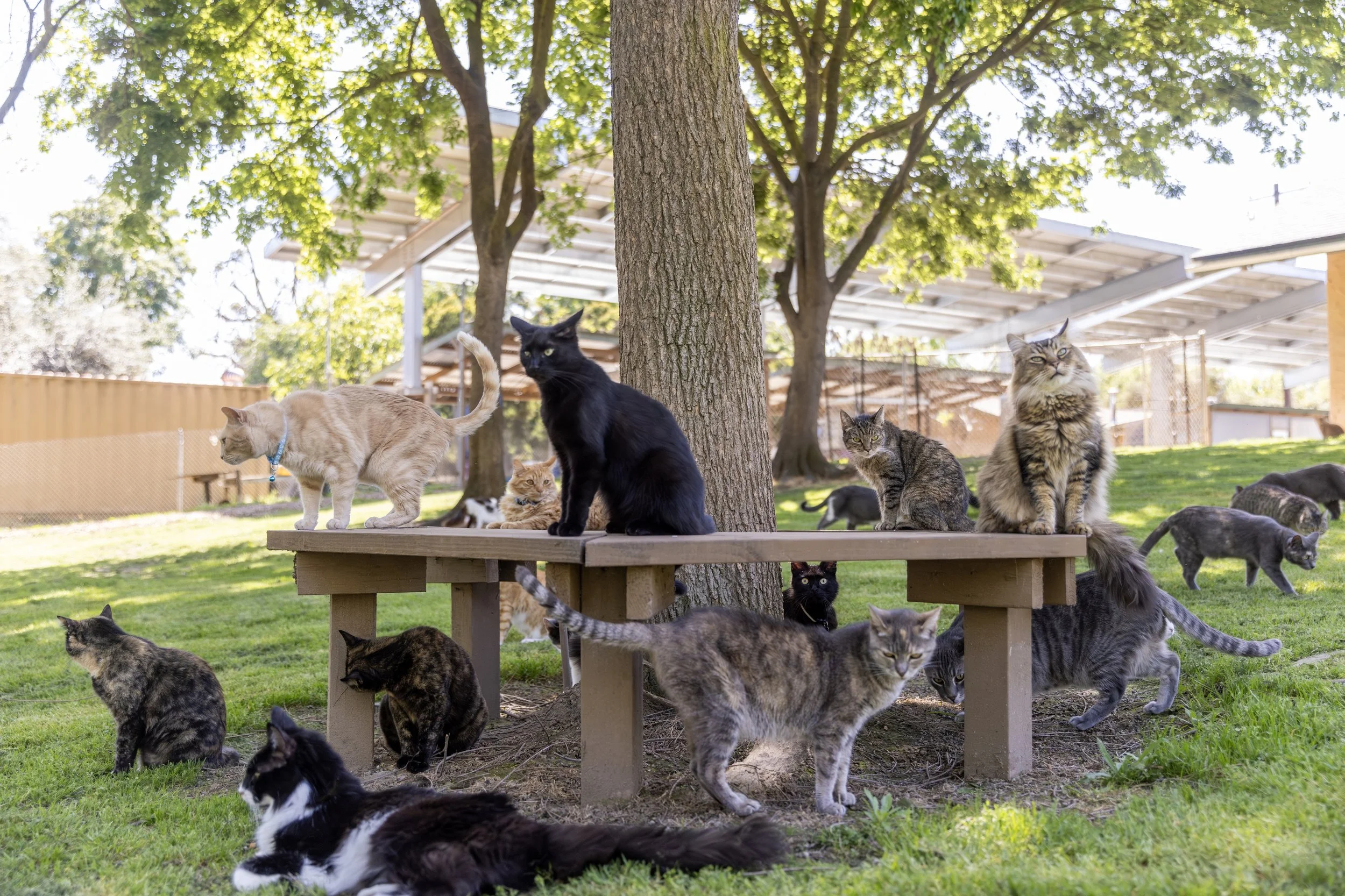 Screenshot 2024-04-16 at 11.33.09.jpg